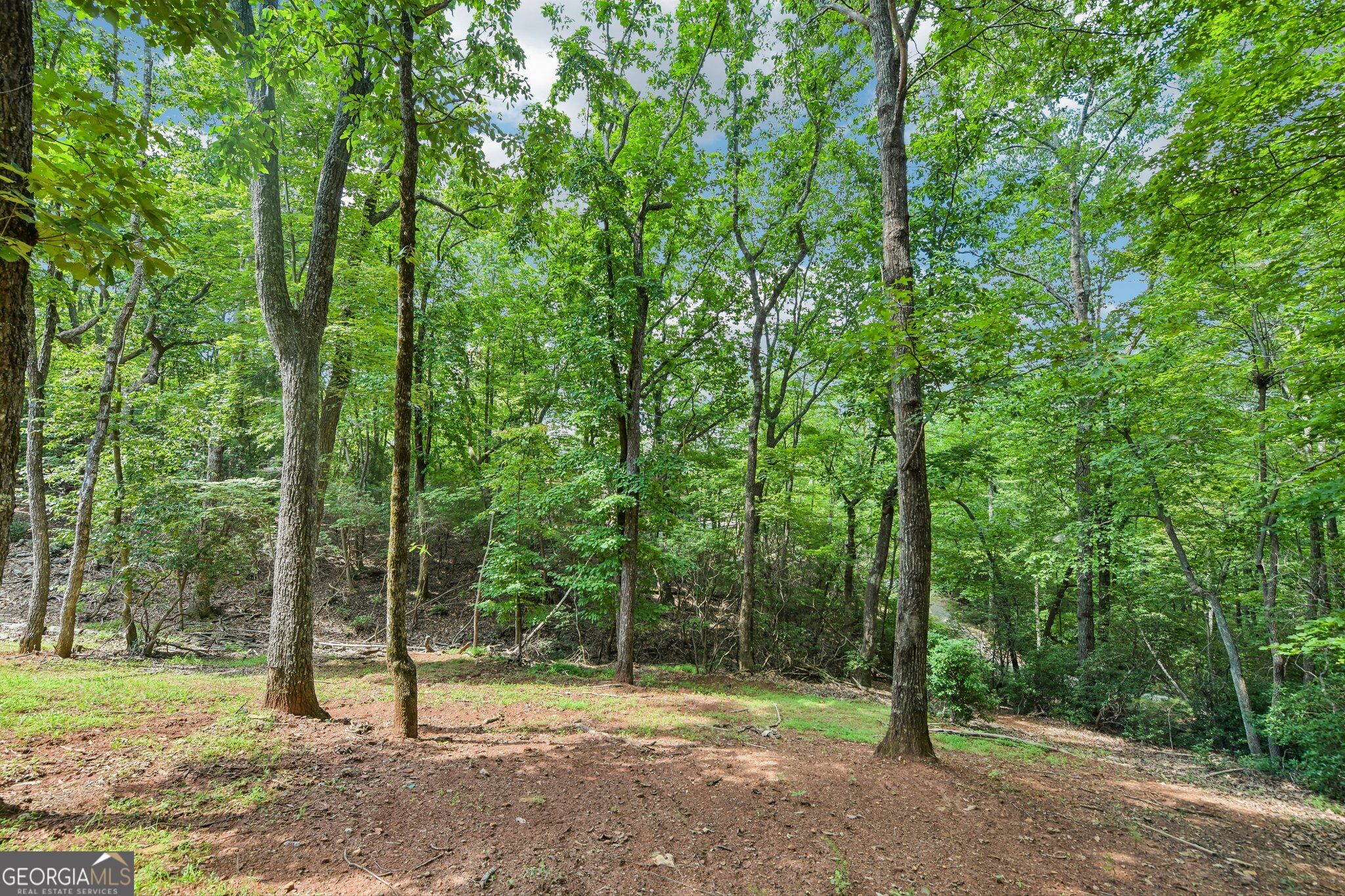 462 Ranch Mountain Drive Property Photo 67