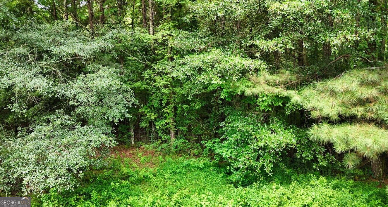 0 Jim Mclemore Unit A Property Photo 34
