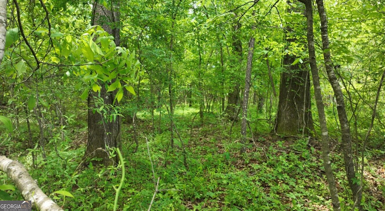 0 Jim Mclemore Unit A Property Photo 35