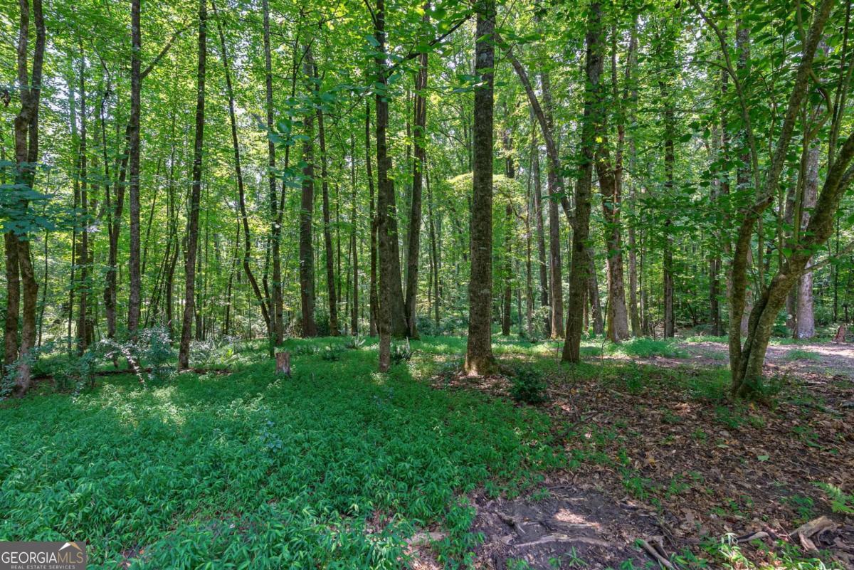 152 Thornhill Drive Property Photo 55