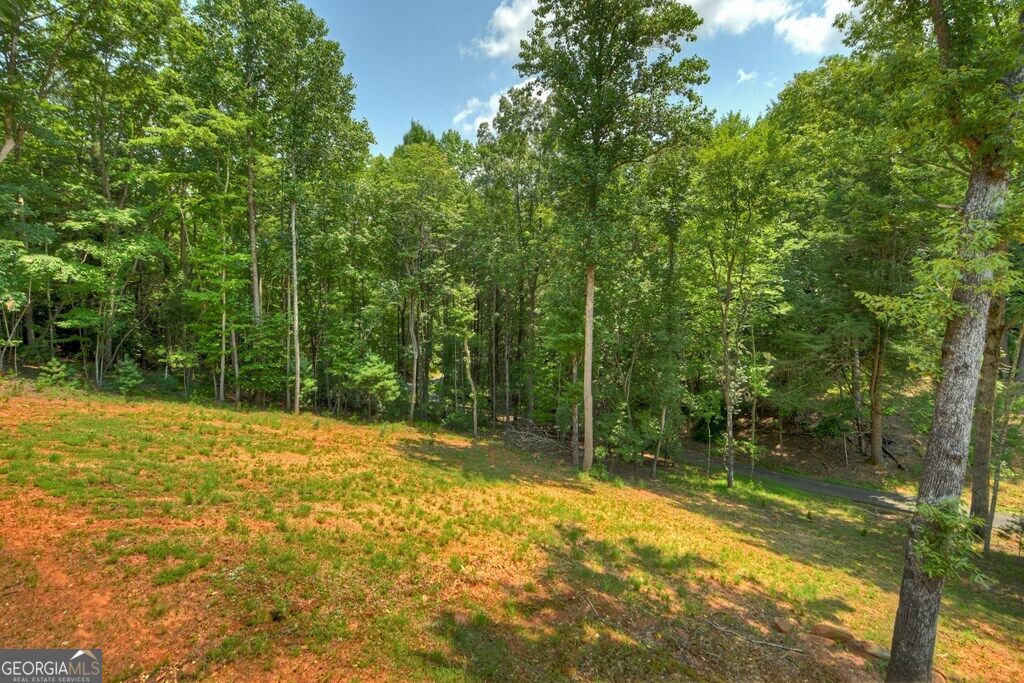 607 Satsuma Court S Property Photo 4