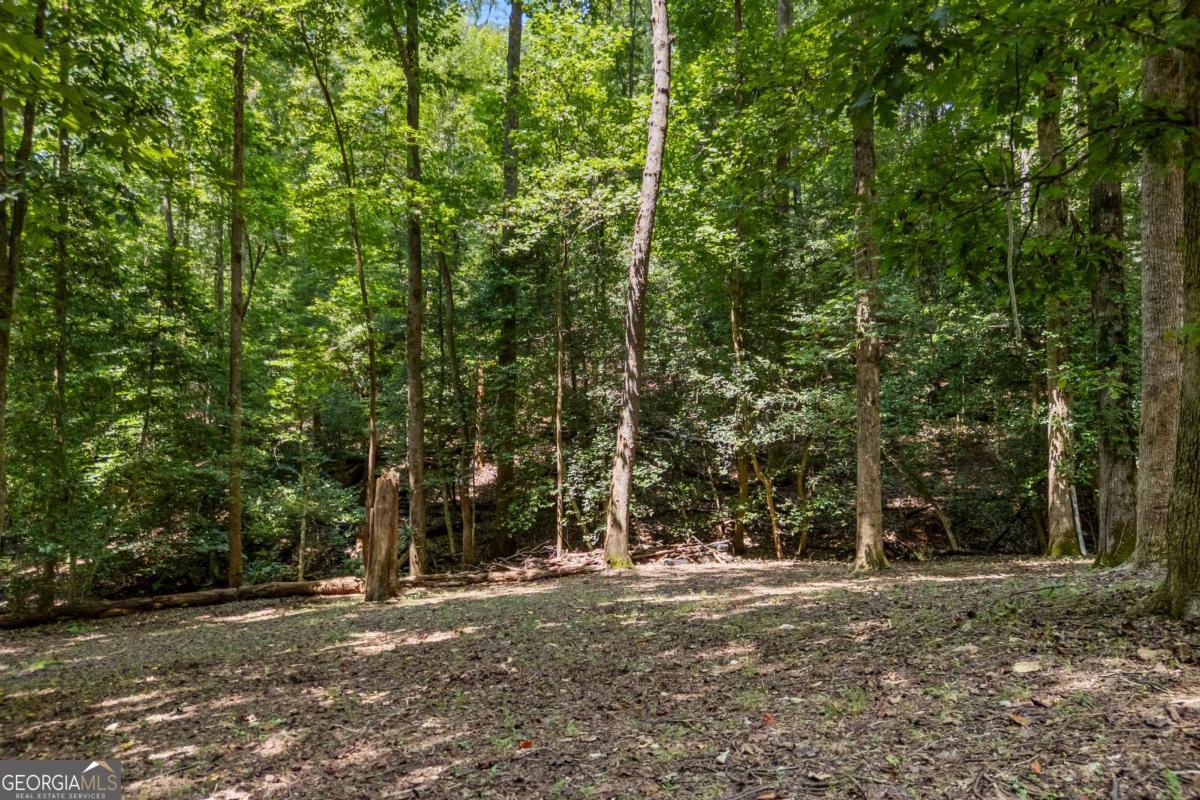 439 Nighthawk View Property Photo 28