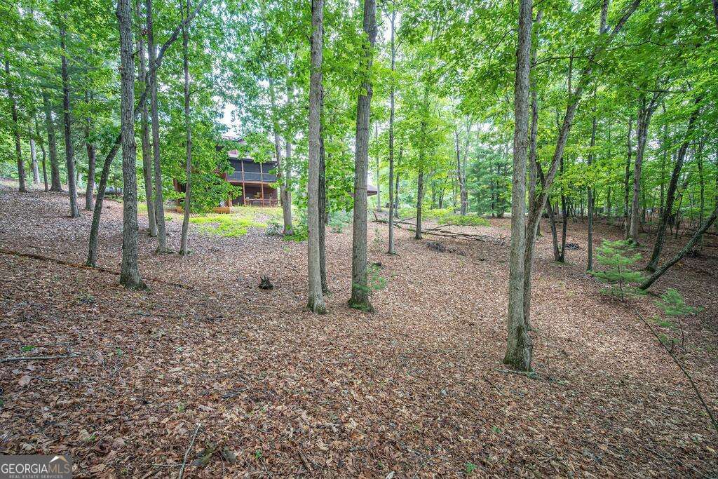 72 Gibbs Trail Property Photo 18