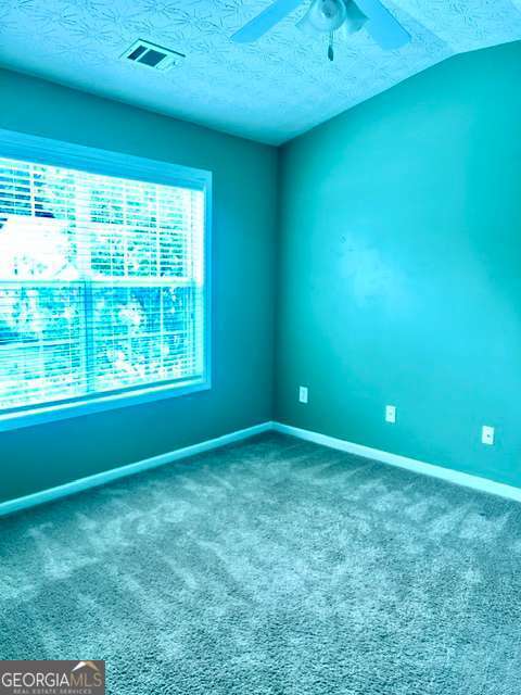 325 Stone Valley Crossing Property Photo 13