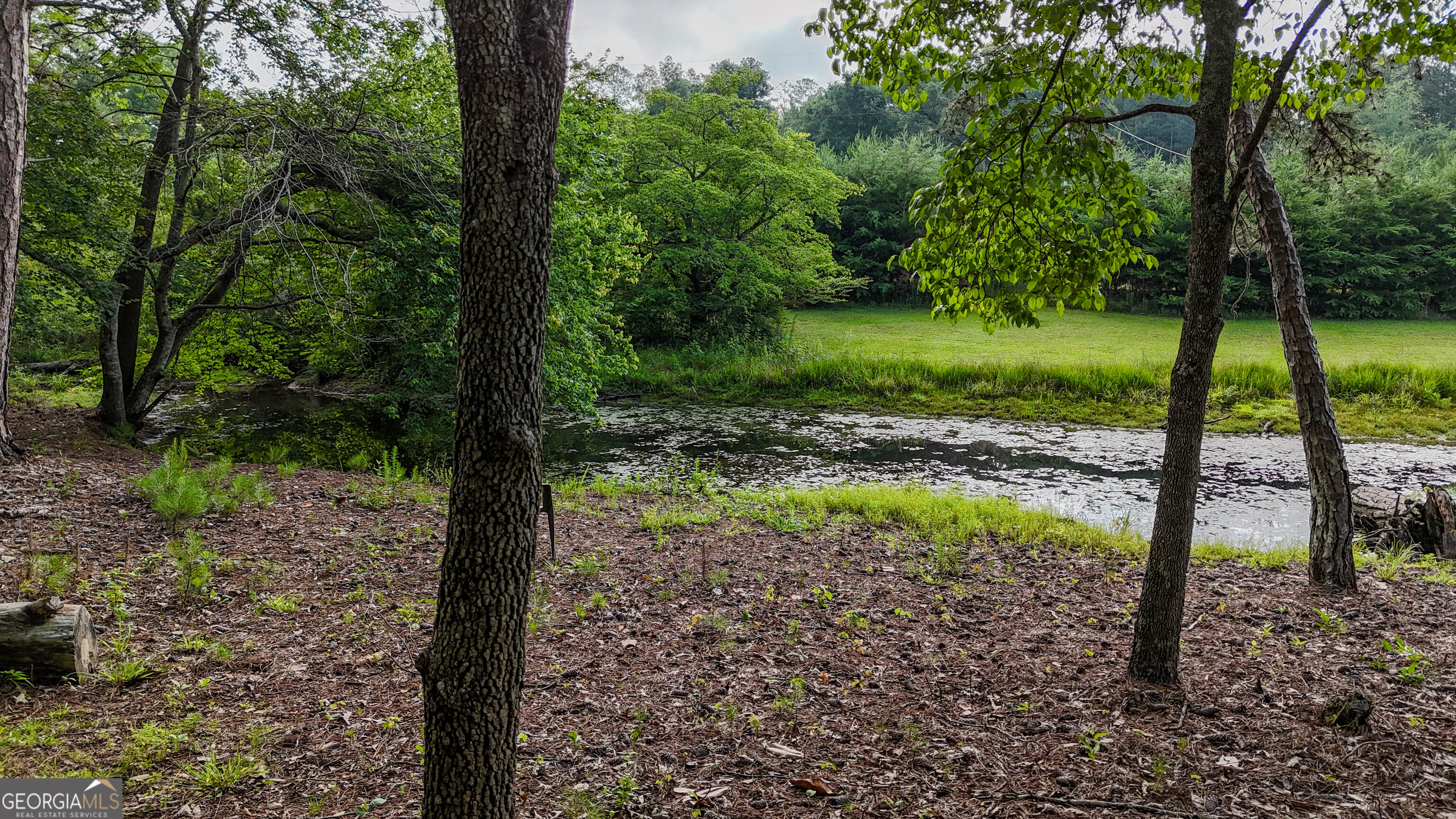110 Handy Road Property Photo 59
