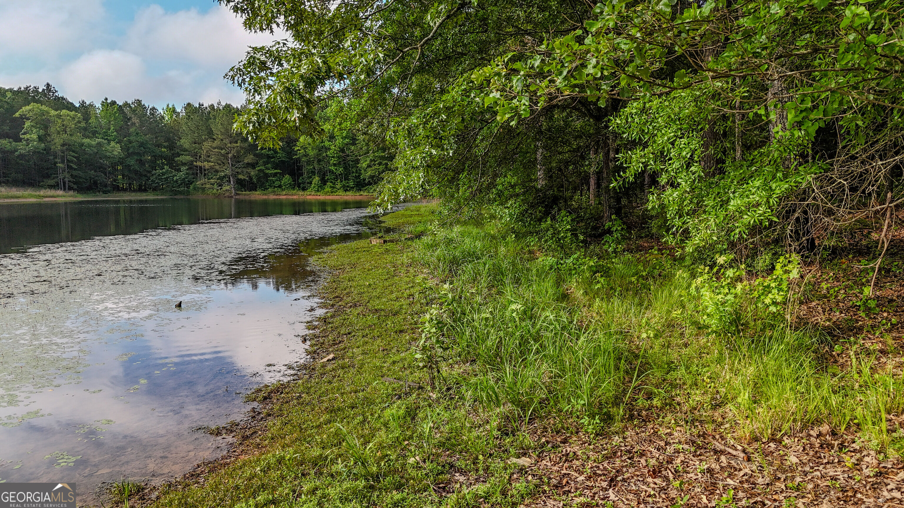 110 Handy Road Property Photo 60