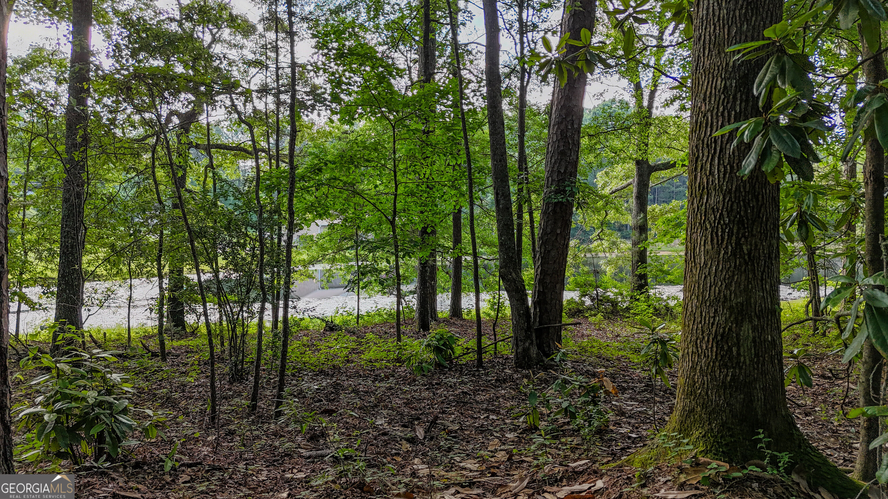 110 Handy Road Property Photo 61