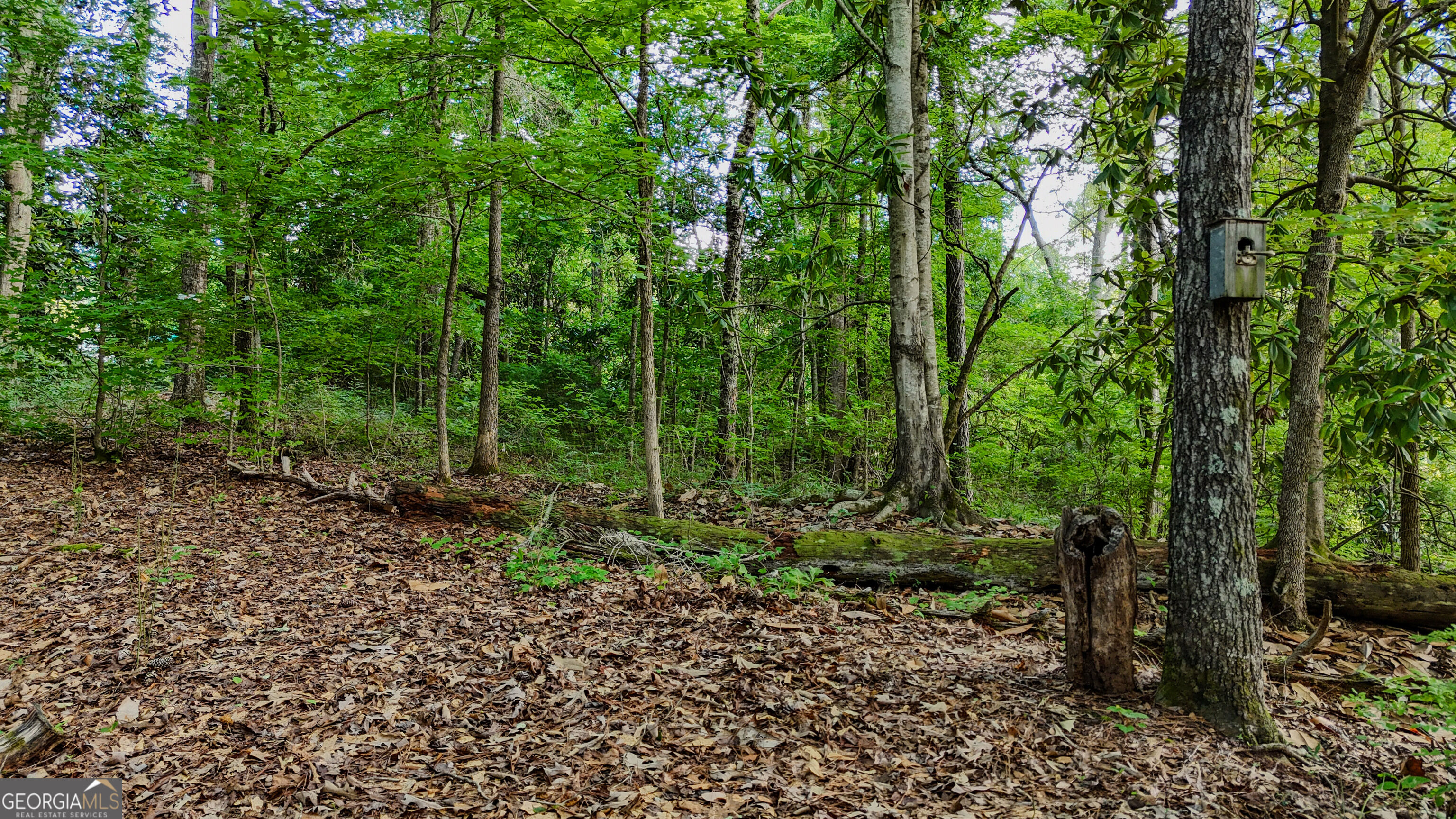 110 Handy Road Property Photo 64