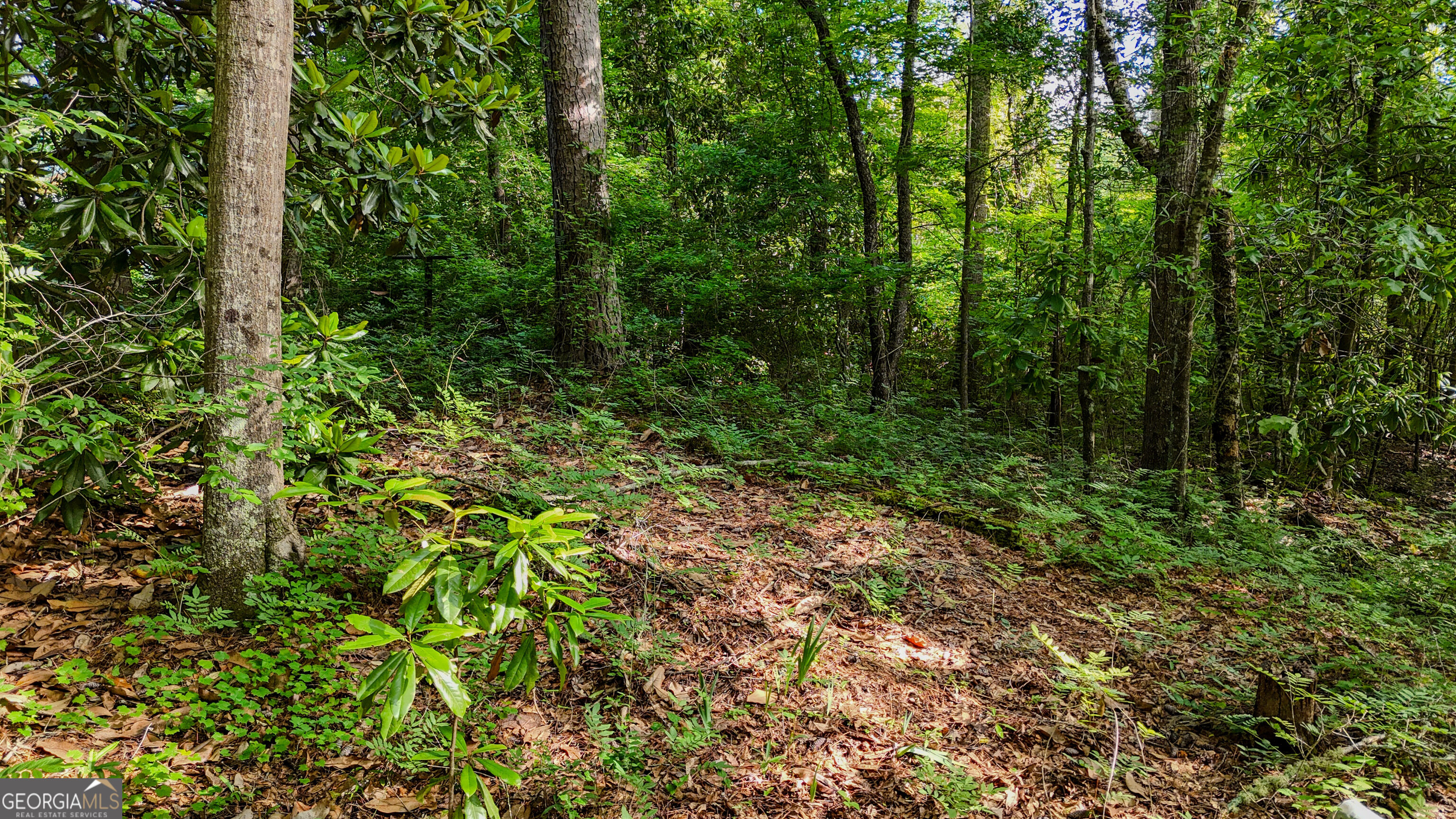 110 Handy Road Property Photo 67