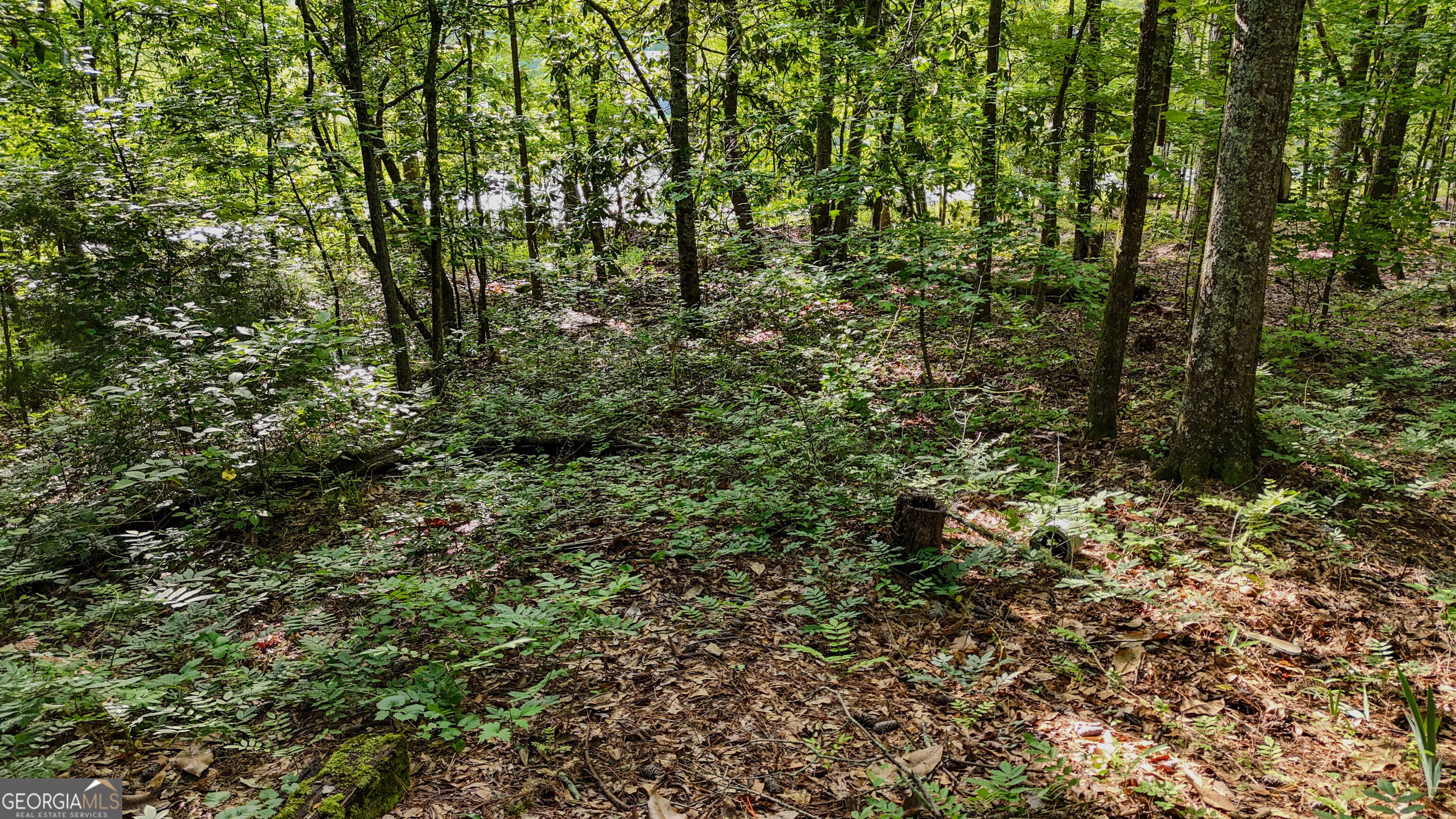 110 Handy Road Property Photo 68
