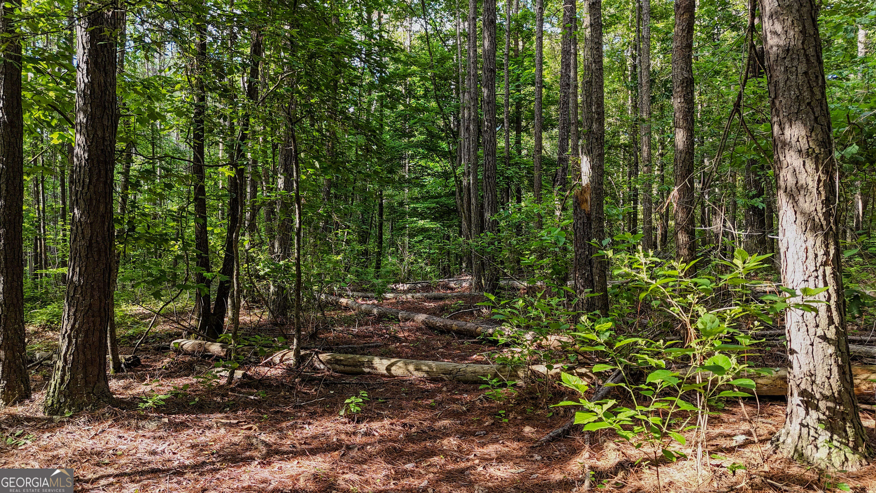 110 Handy Road Property Photo 74