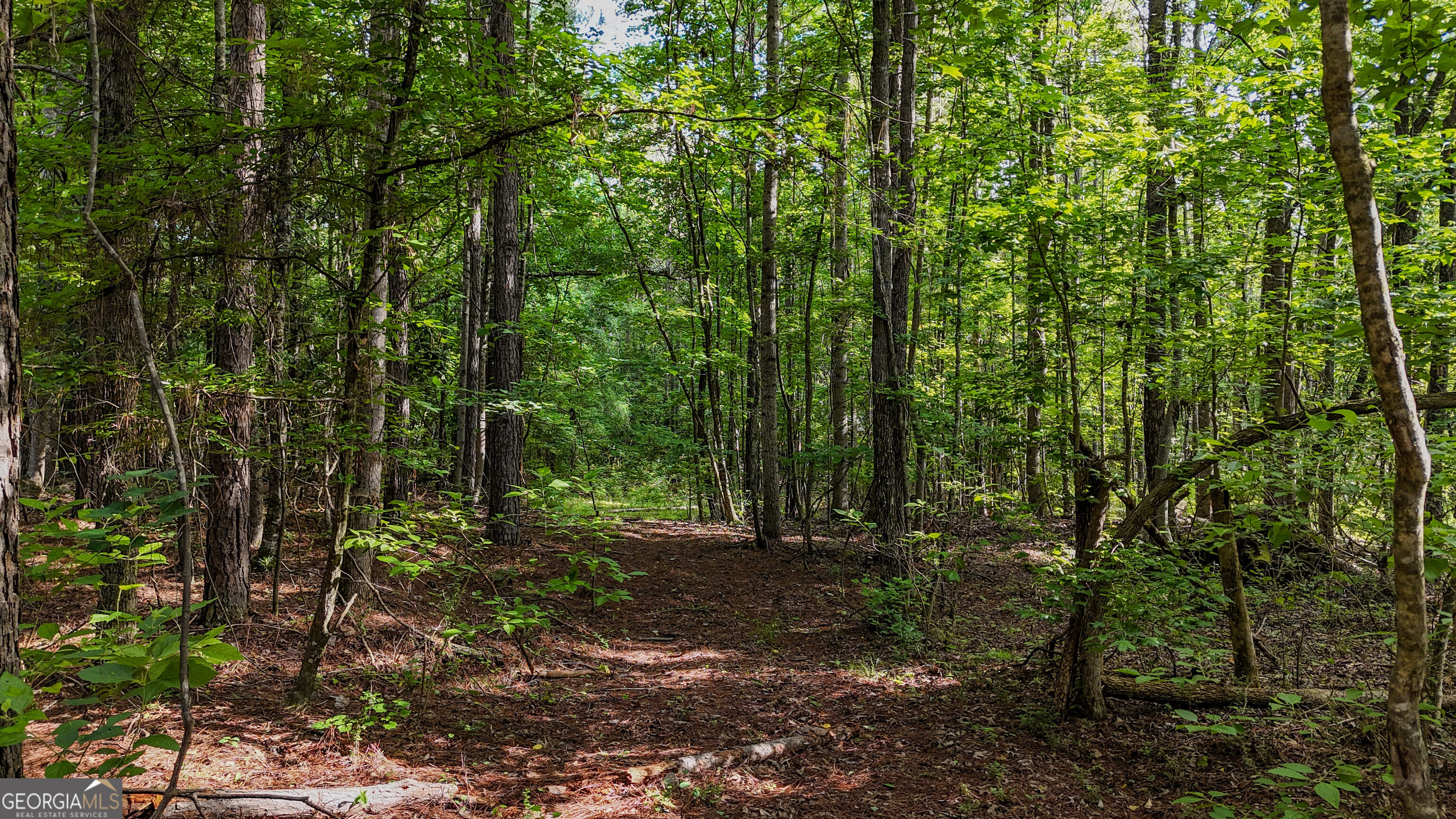 110 Handy Road Property Photo 76