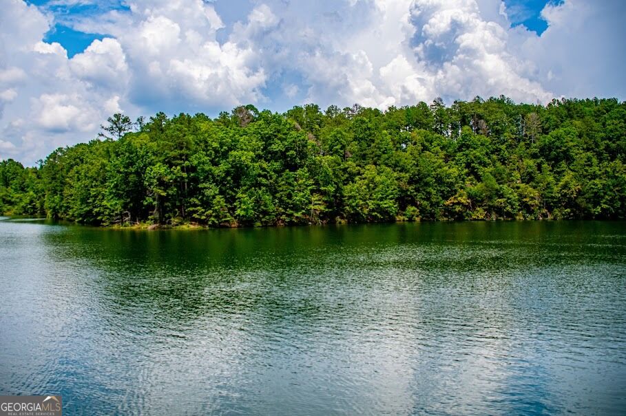 741 Firefly Lane Lot 17 And Lot 17a Property Photo 18