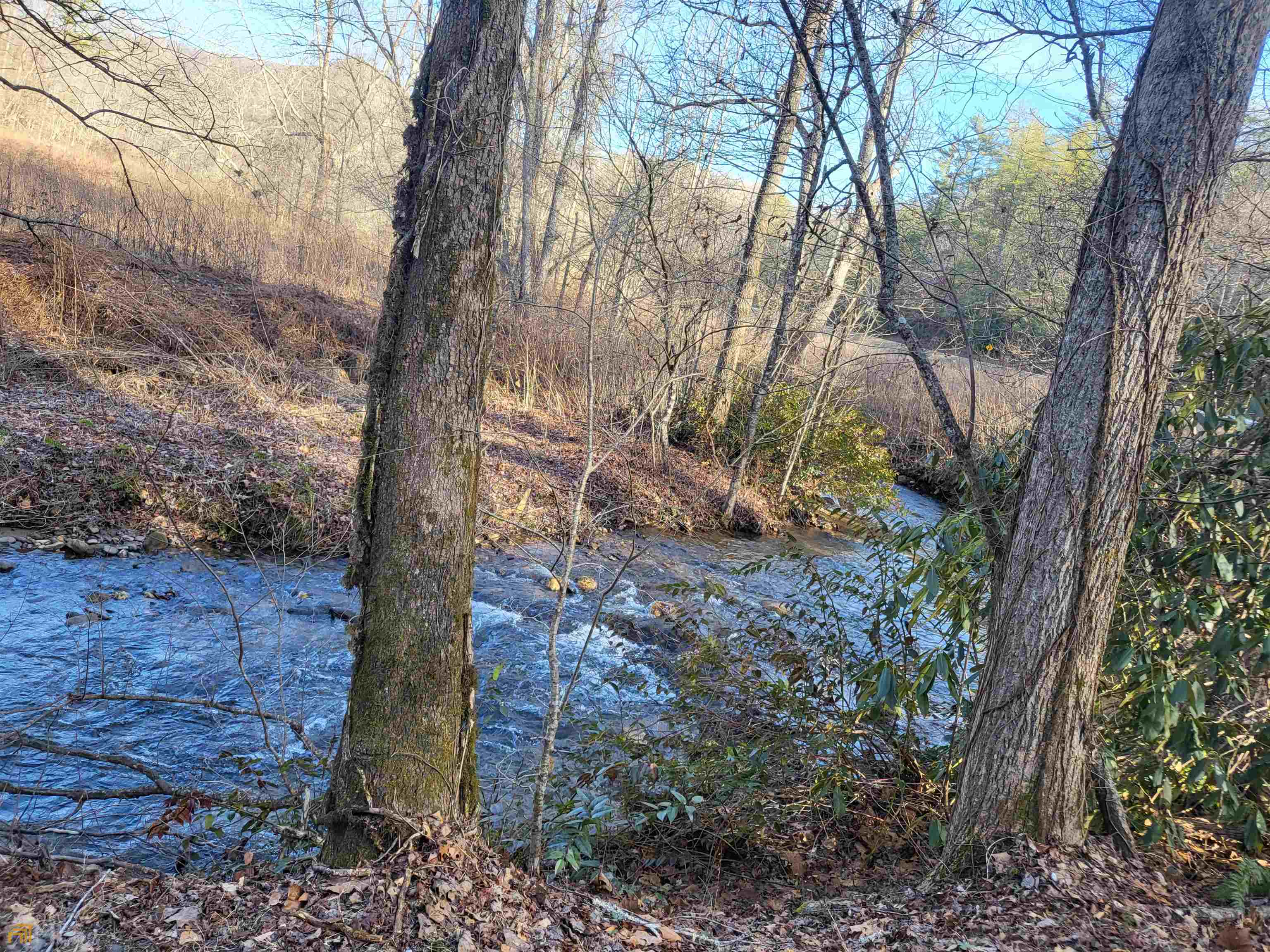 59 Ac Hwy 356 & Skylake Road Property Photo 1
