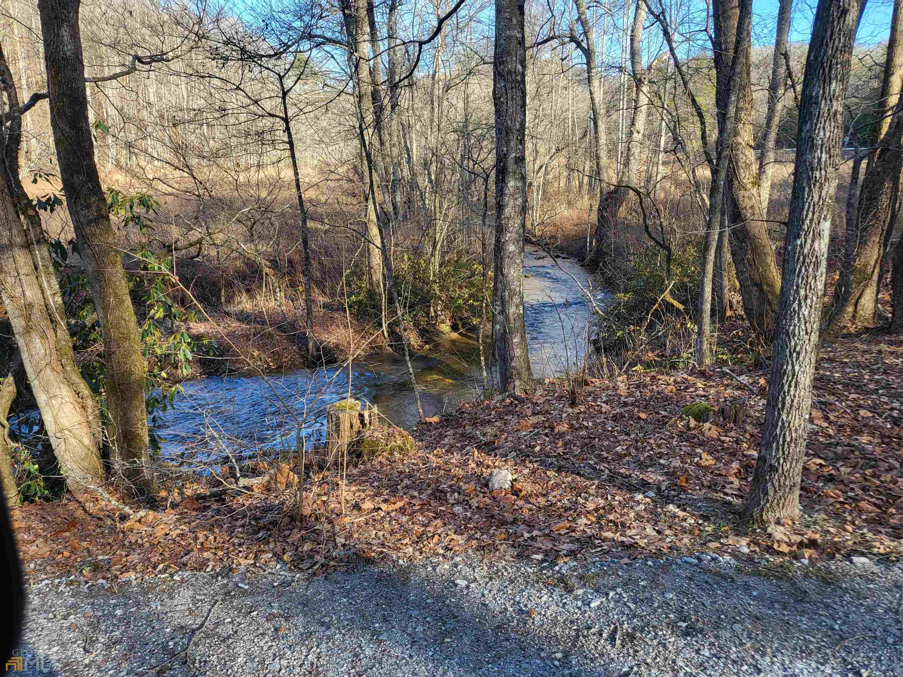 59 Ac Hwy 356 & Skylake Road Property Photo 3