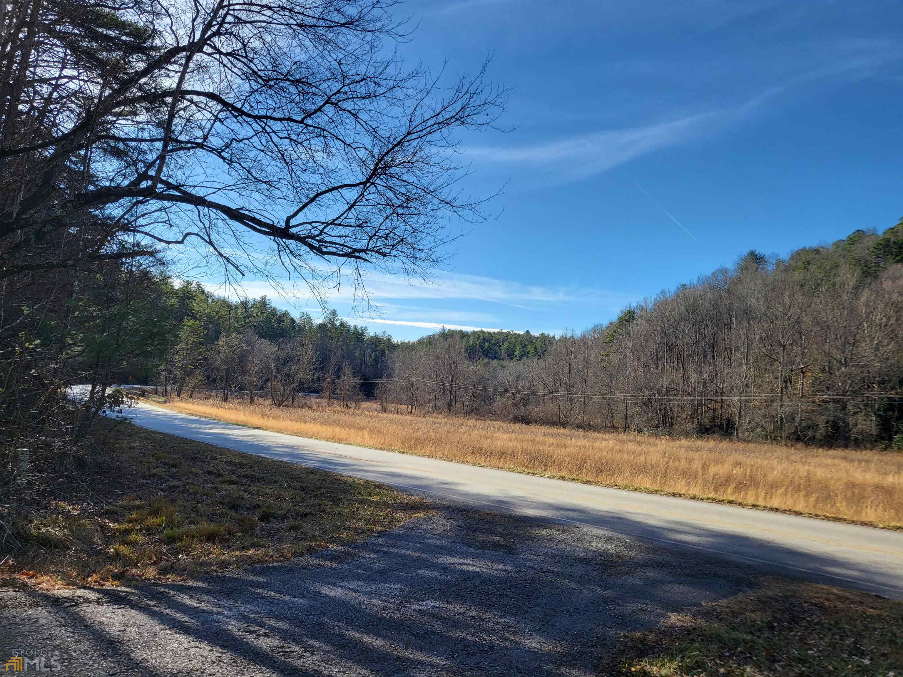 59 Ac Hwy 356 & Skylake Road Property Photo 4