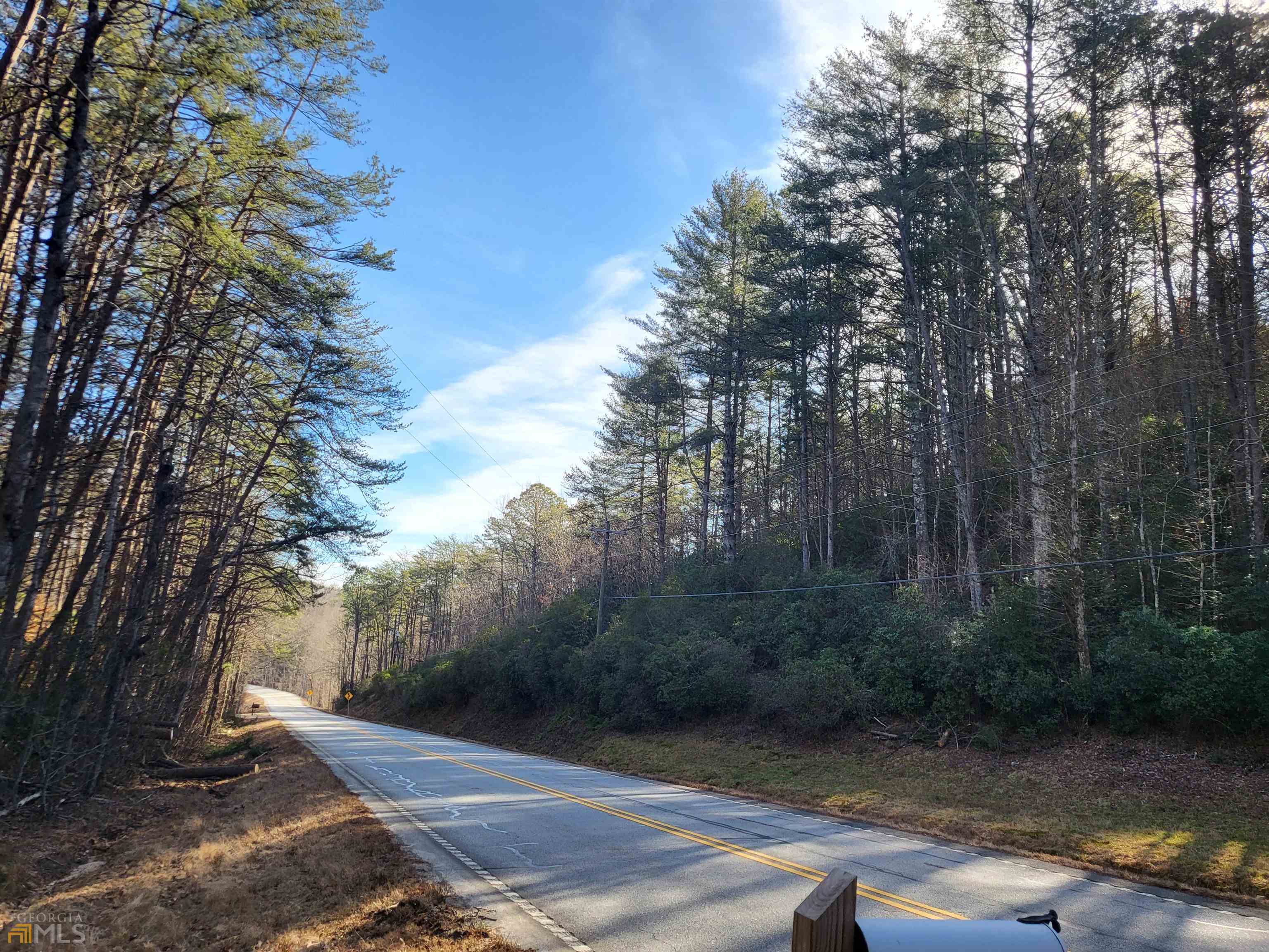 59 Ac Hwy 356 & Skylake Road Property Photo 5