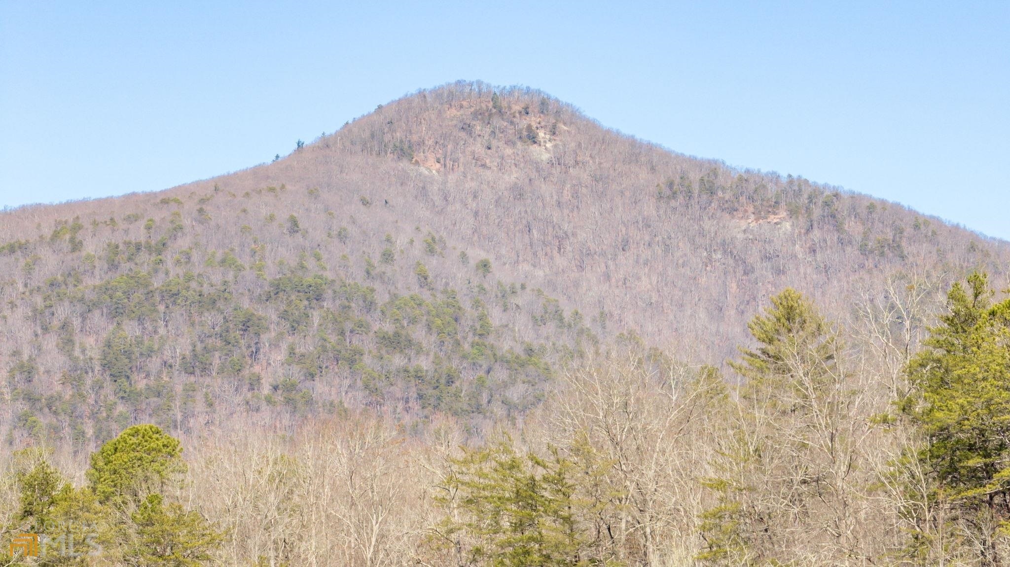 59 Ac Hwy 356 & Skylake Road Property Photo 6