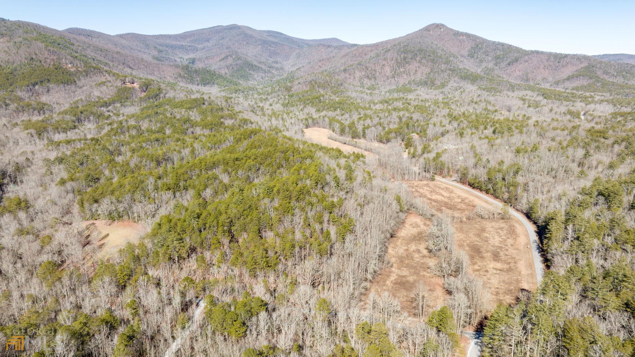59 Ac Hwy 356 & Skylake Road Property Photo 9