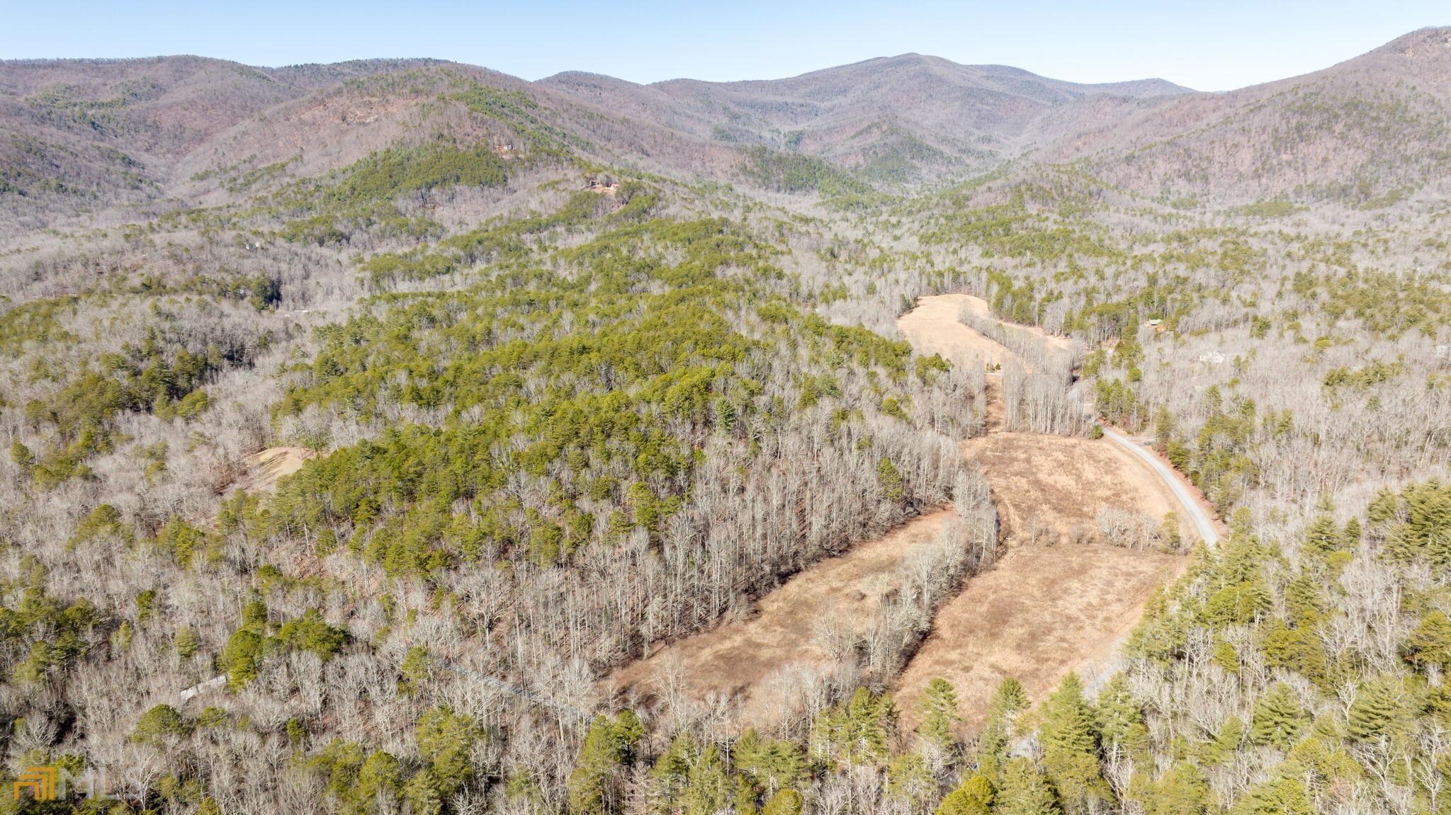 59 Ac Hwy 356 & Skylake Road Property Photo 10