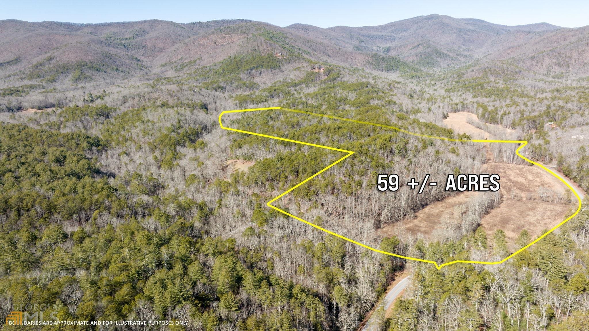 59 Ac Hwy 356 & Skylake Road Property Photo 11