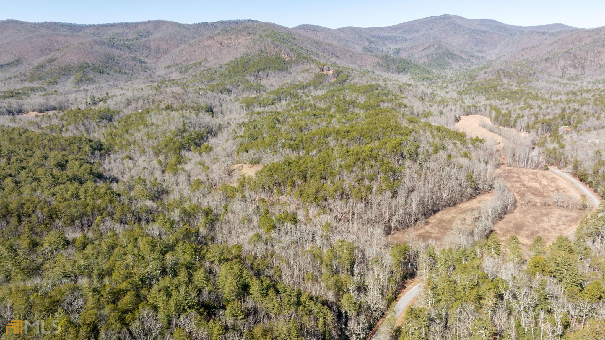 59 Ac Hwy 356 & Skylake Road Property Photo 14