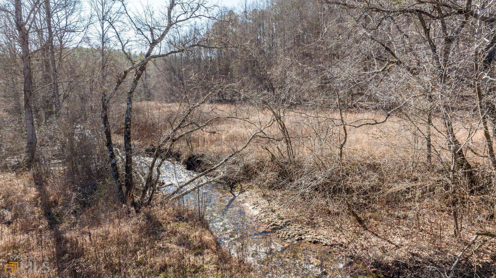 59 Ac Hwy 356 & Skylake Road Property Photo 19