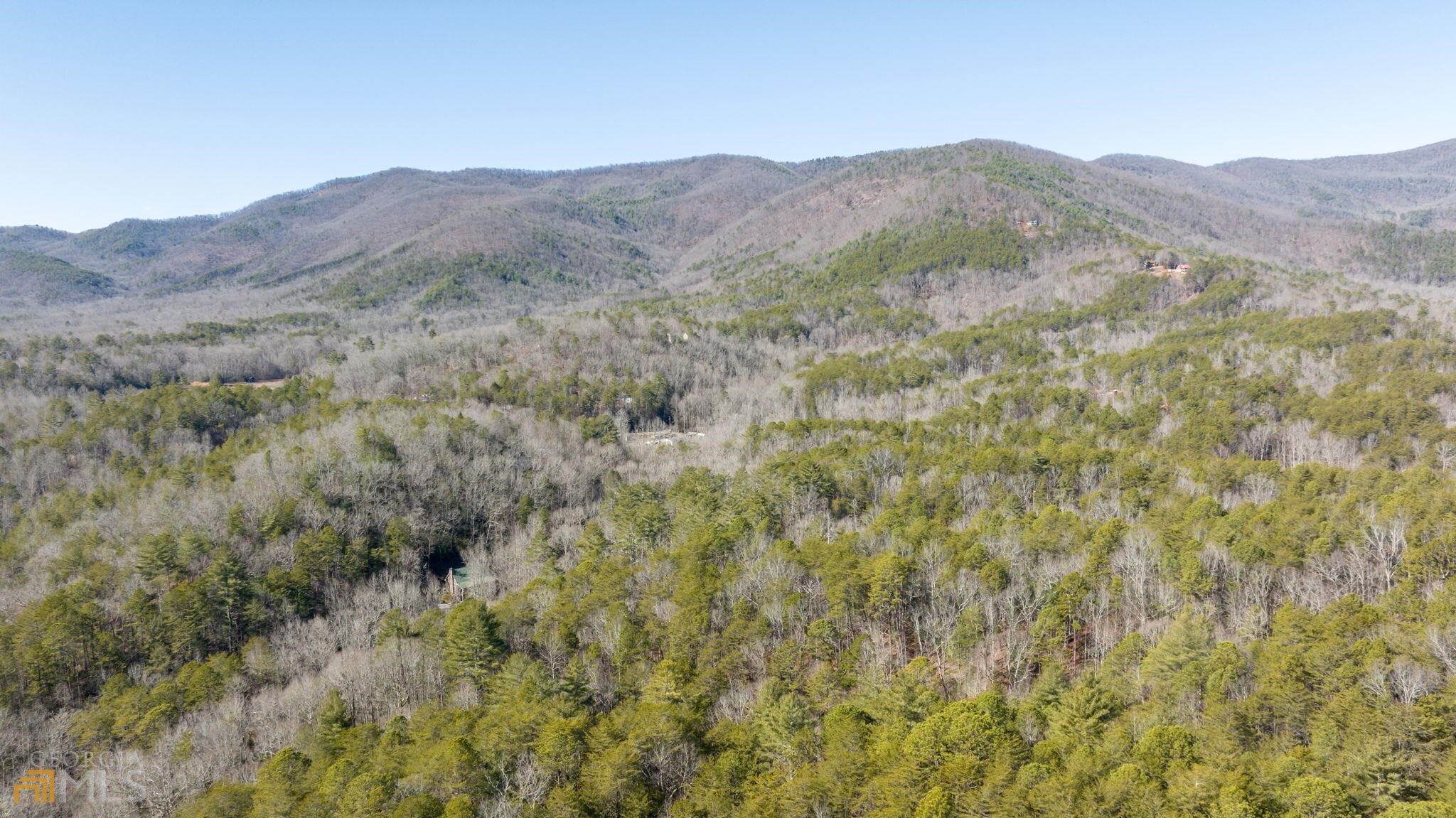 59 Ac Hwy 356 & Skylake Road Property Photo 22