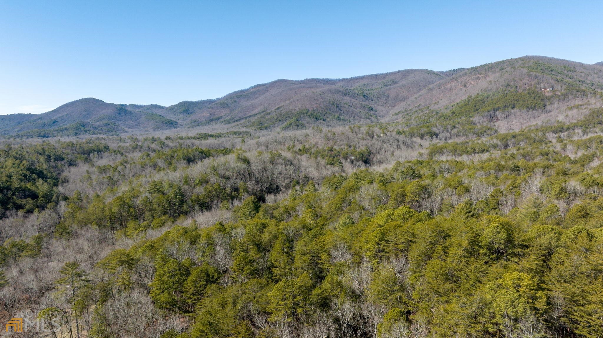 59 Ac Hwy 356 & Skylake Road Property Photo 24