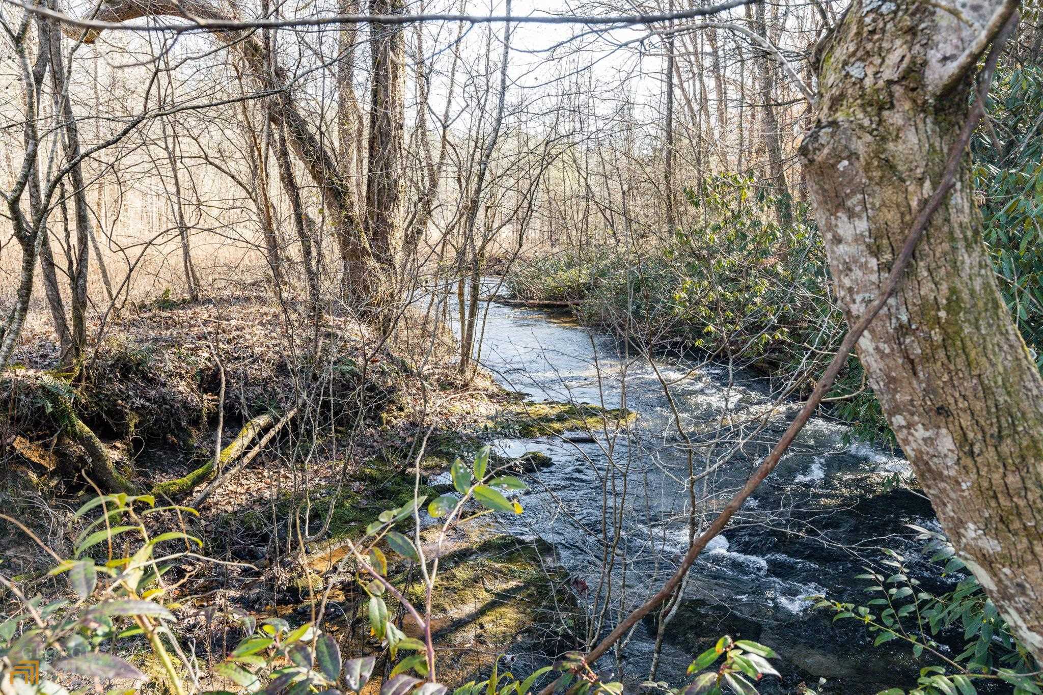 59 Ac Hwy 356 & Skylake Road Property Photo 37
