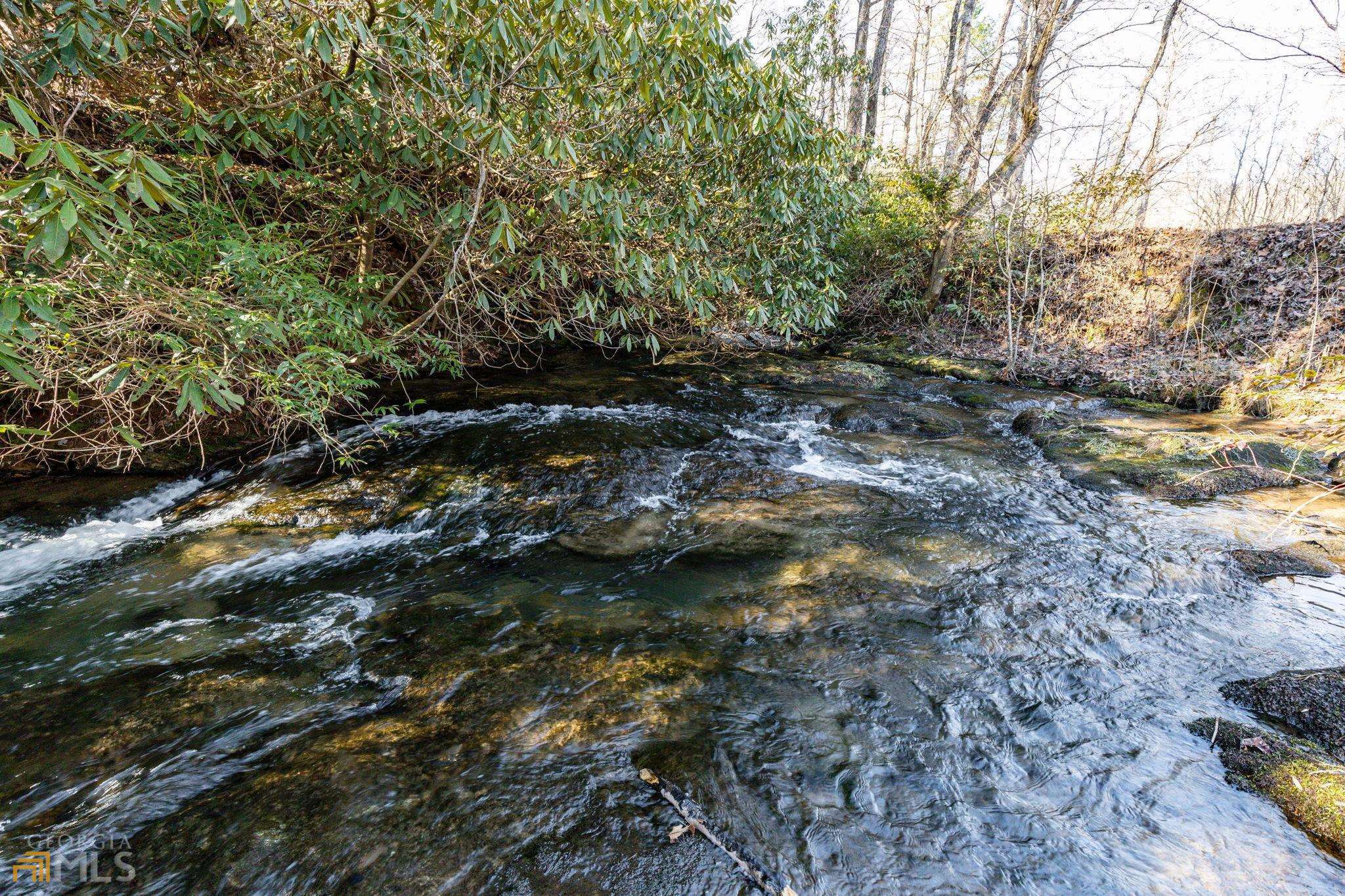 59 Ac Hwy 356 & Skylake Road Property Photo 38