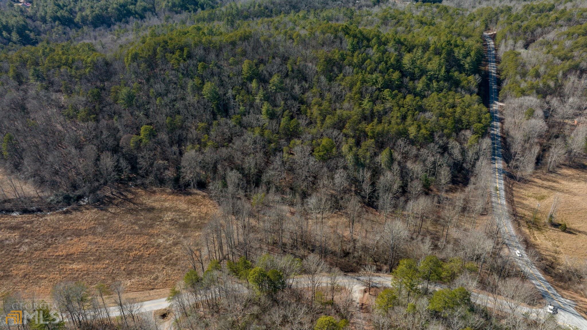 59 Ac Hwy 356 & Skylake Road Property Photo 45