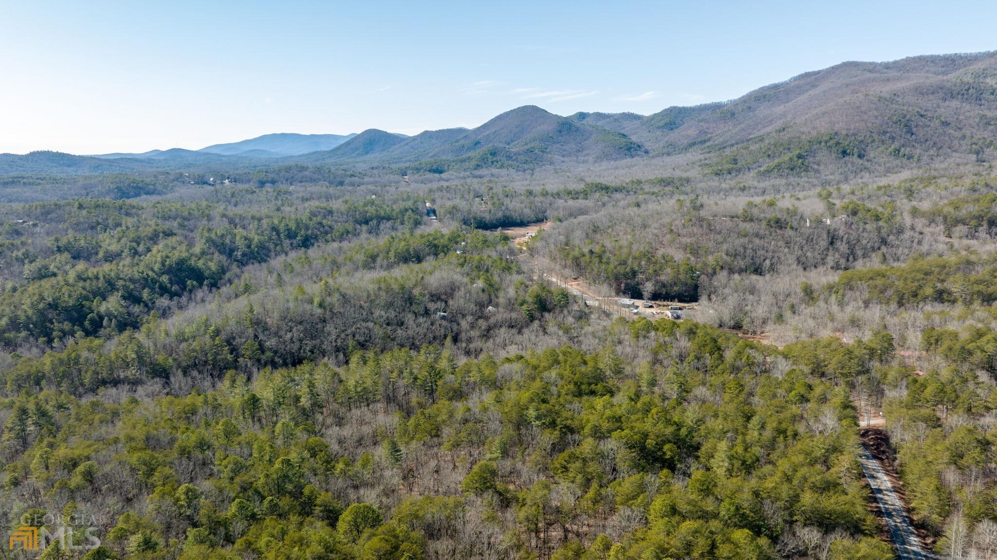 59 Ac Hwy 356 & Skylake Road Property Photo 46