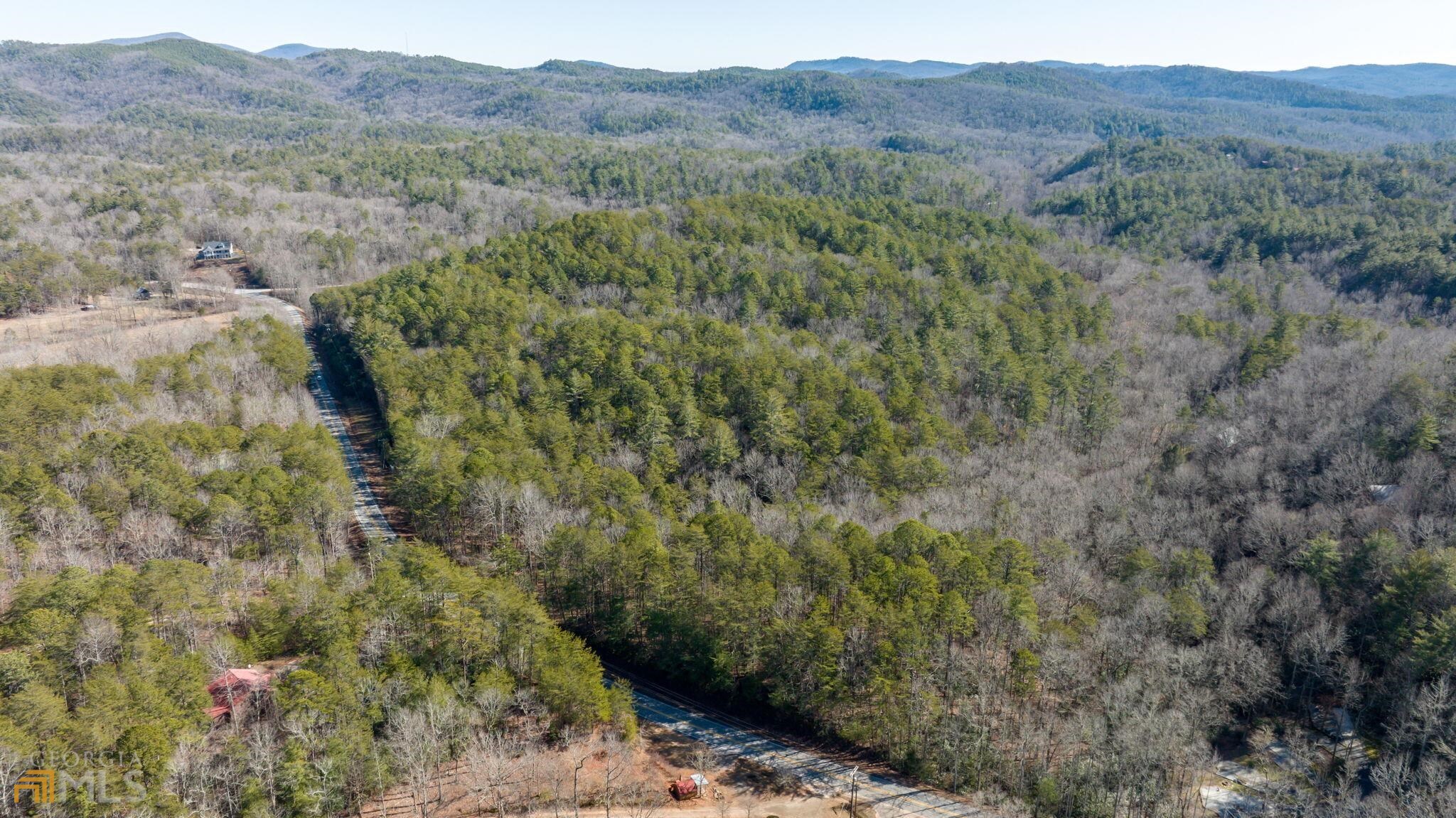 59 Ac Hwy 356 & Skylake Road Property Photo 48