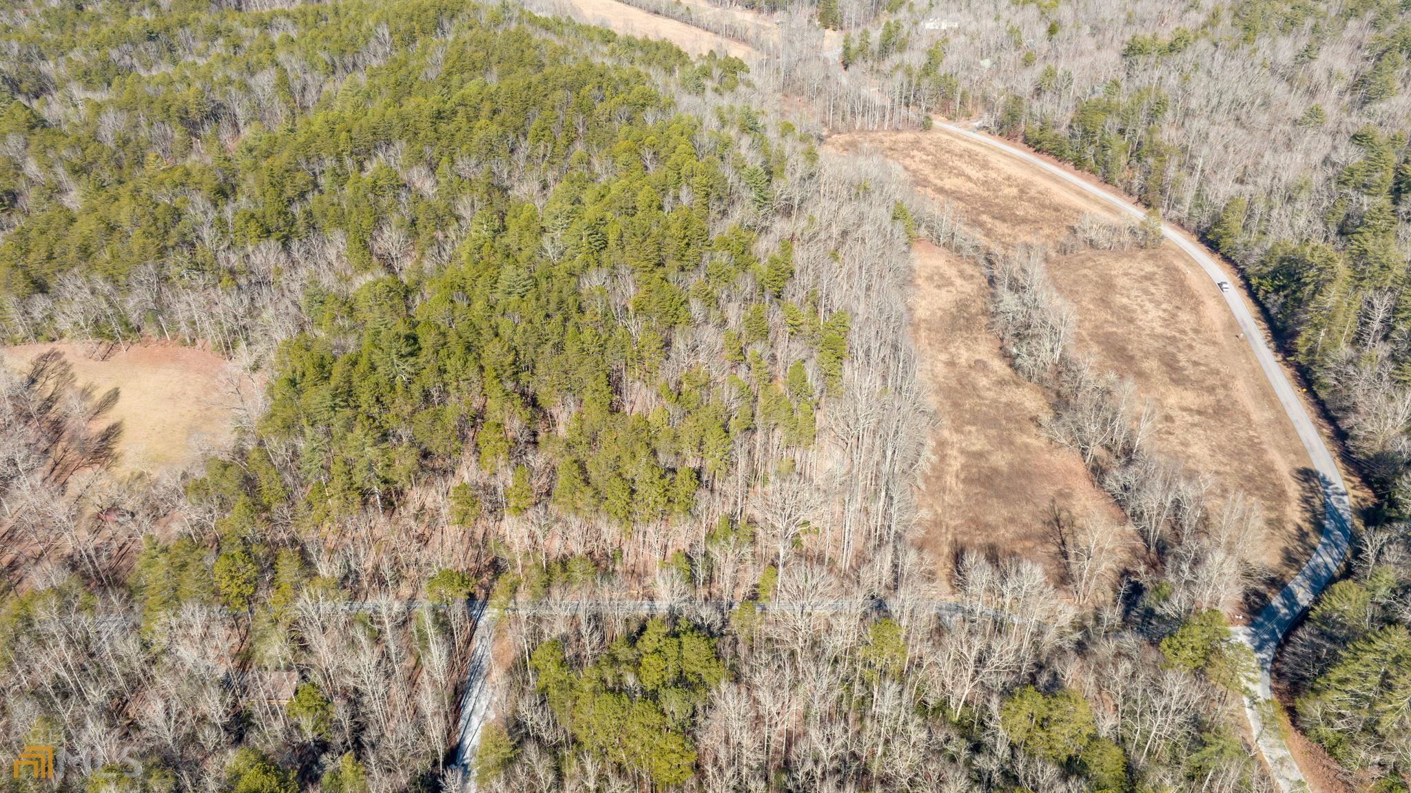 59 Ac Hwy 356 & Skylake Road Property Photo 49