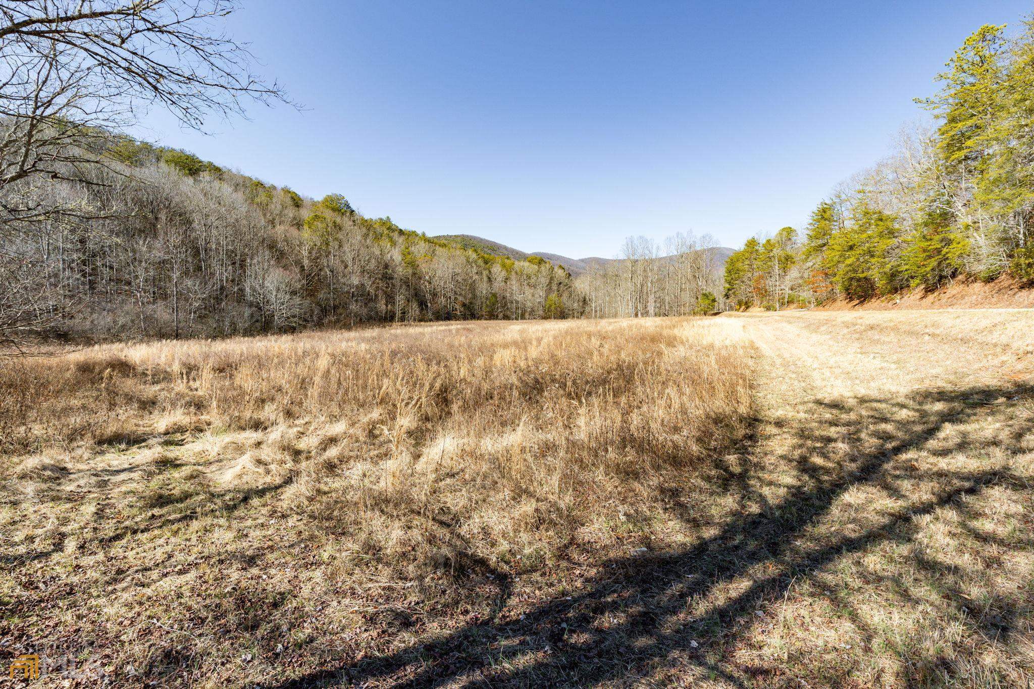 59 Ac Hwy 356 & Skylake Road Property Photo 51