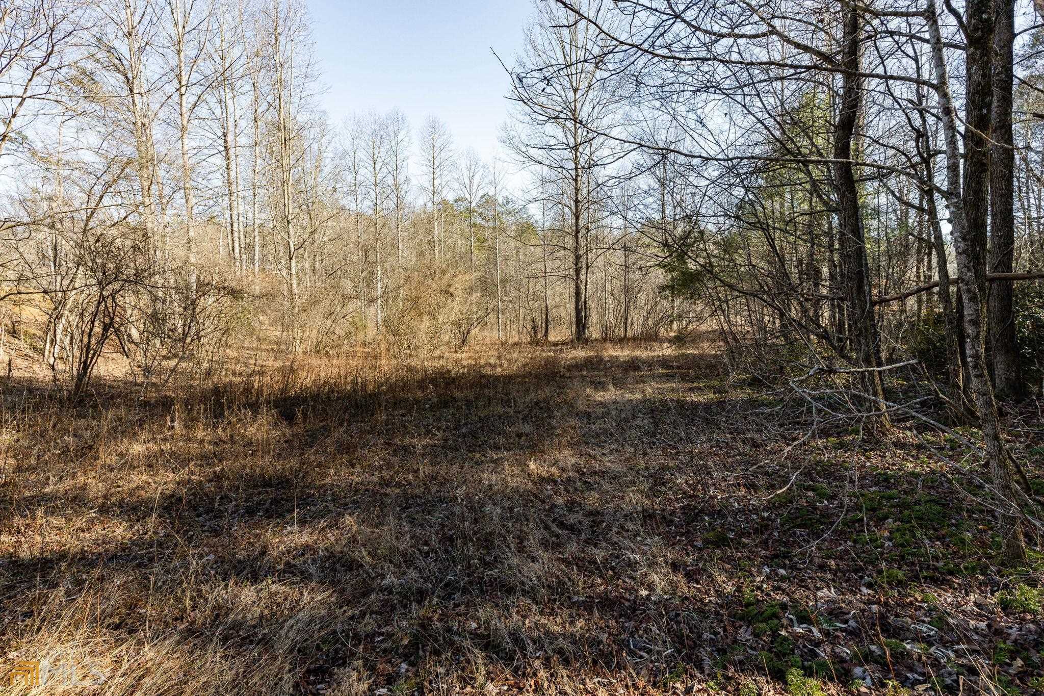 59 Ac Hwy 356 & Skylake Road Property Photo 58
