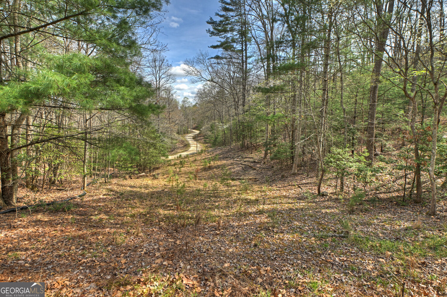 57 Meadow Hill Property Photo 32