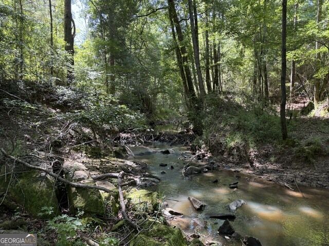 0 Kendricks Mill Road Property Photo 1