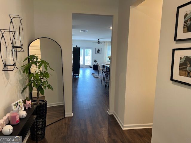 137 Grafton Street Property Photo 3