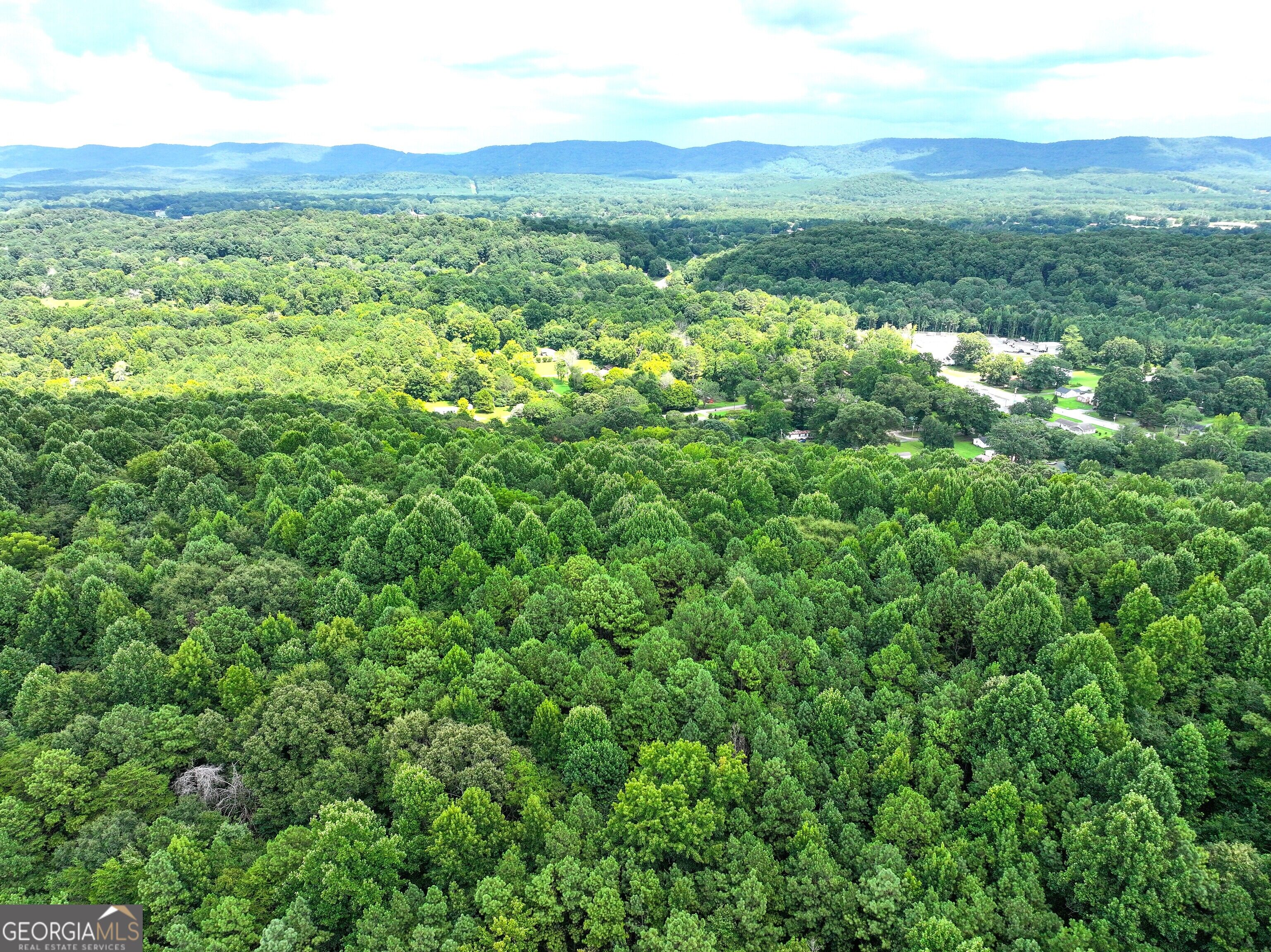74 +/- Acres On Raccoon Road Property Photo 1
