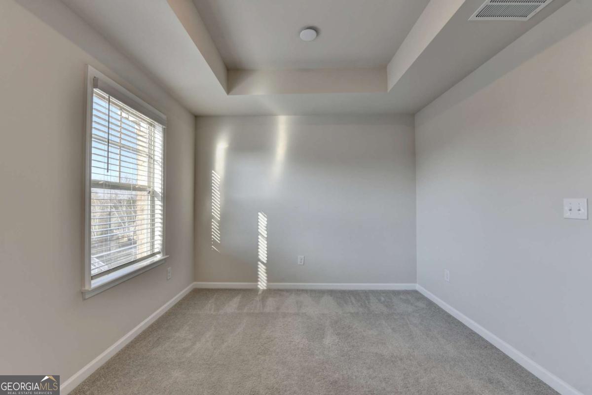 3661 Willingham Run Property Photo 43