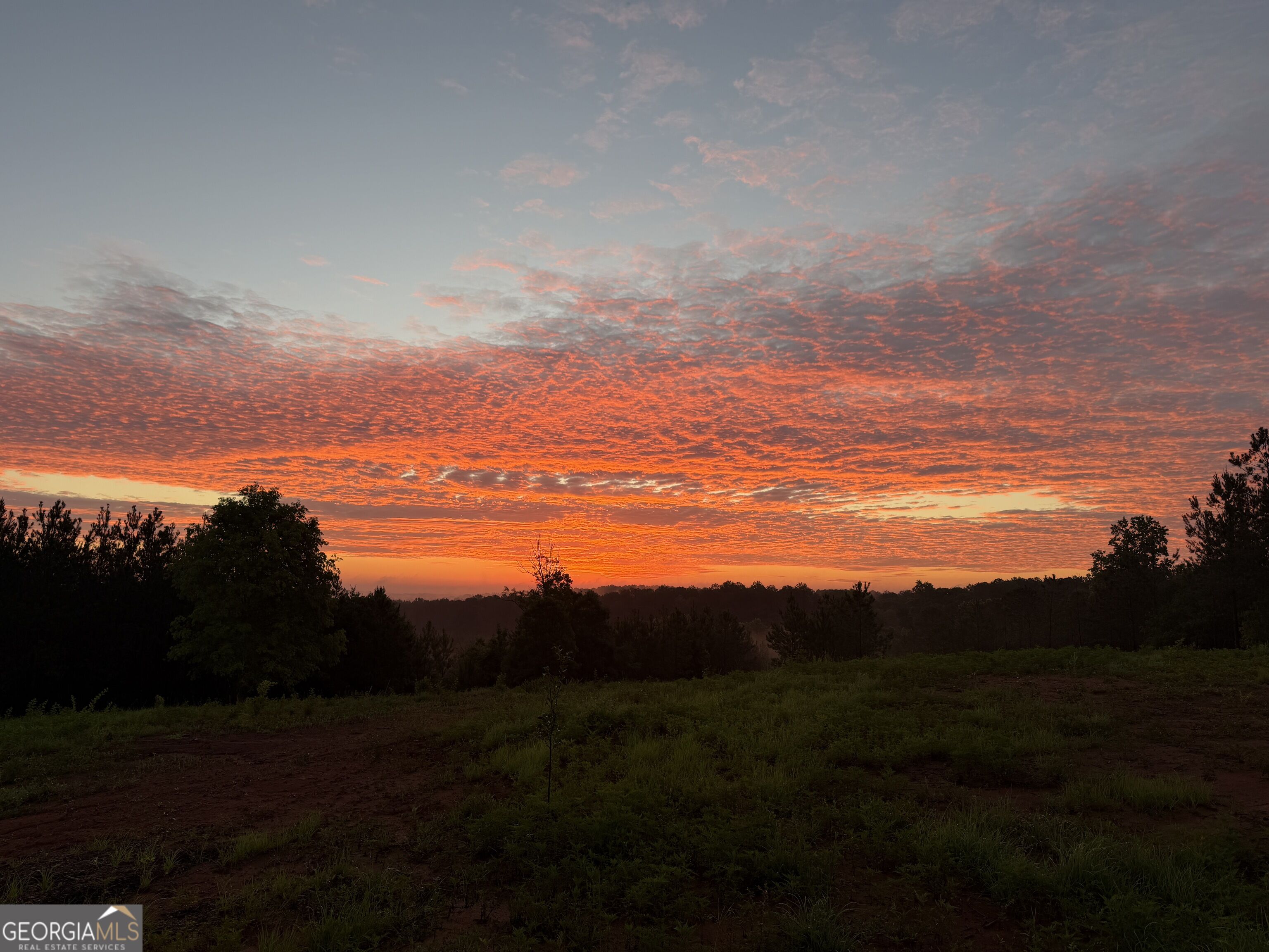 +/- 190 Ac Bevis Road Property Photo 1