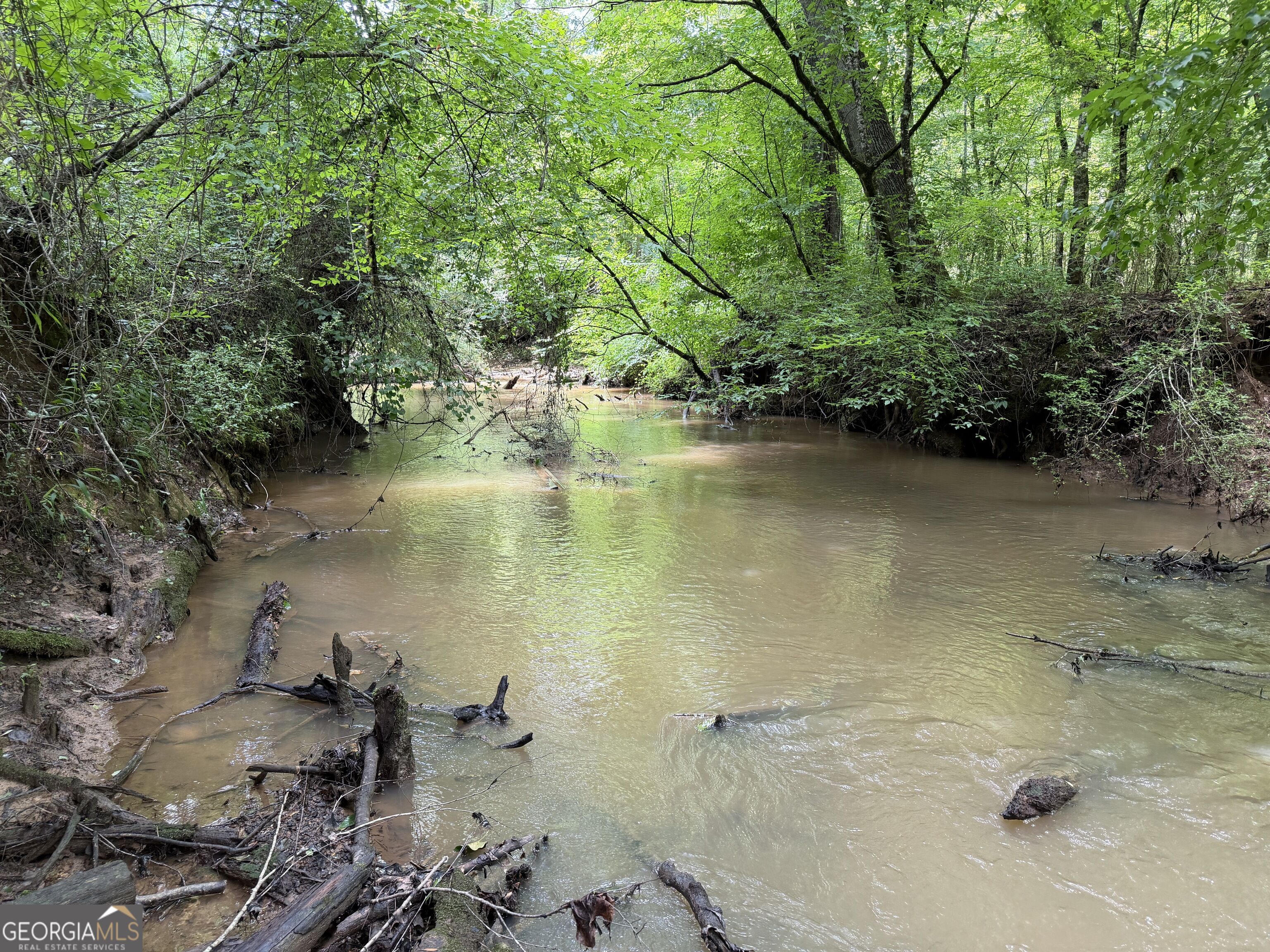 +/- 190 Ac Bevis Road Property Photo 3