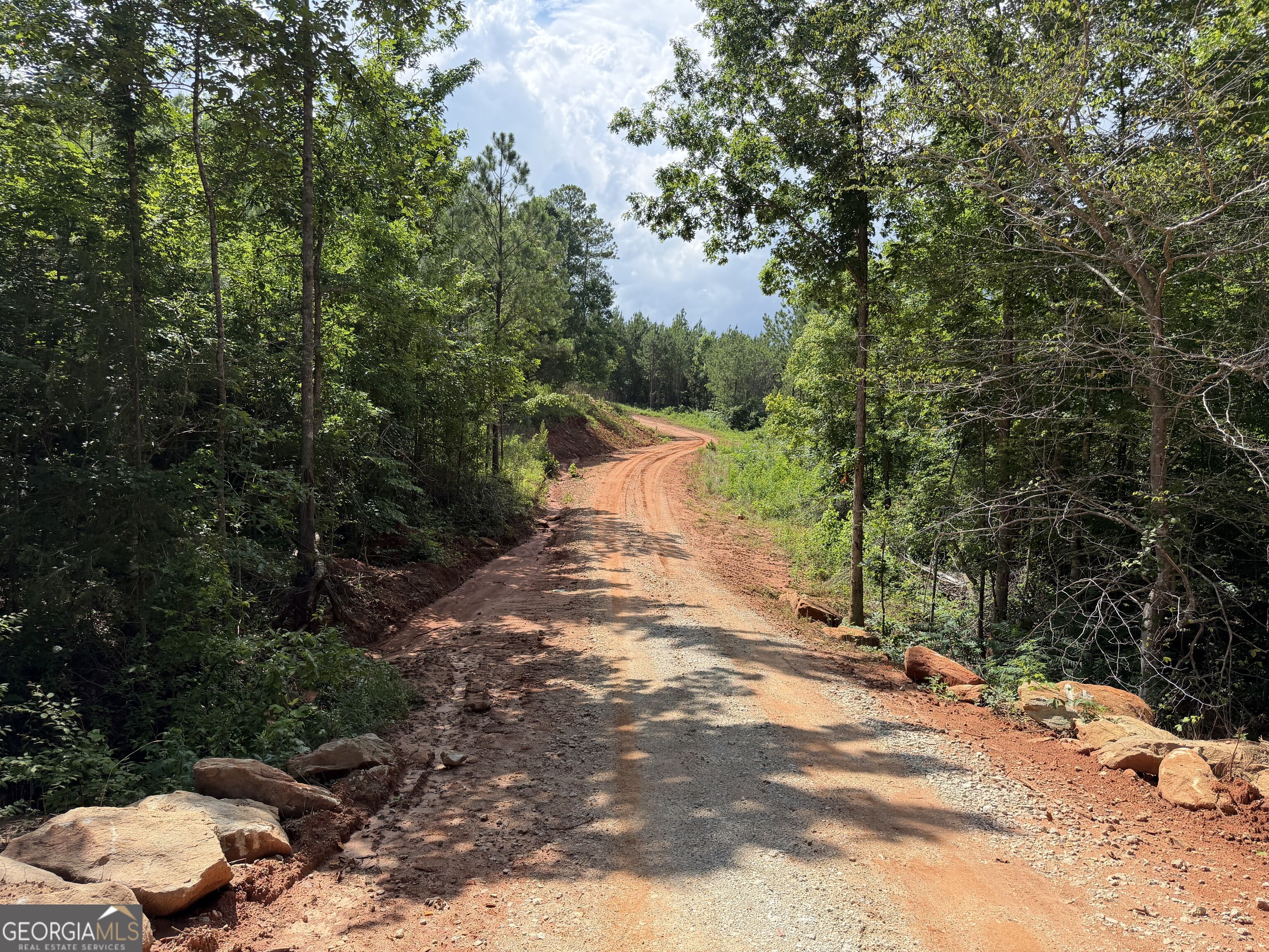 +/- 190 Ac Bevis Road Property Photo 6