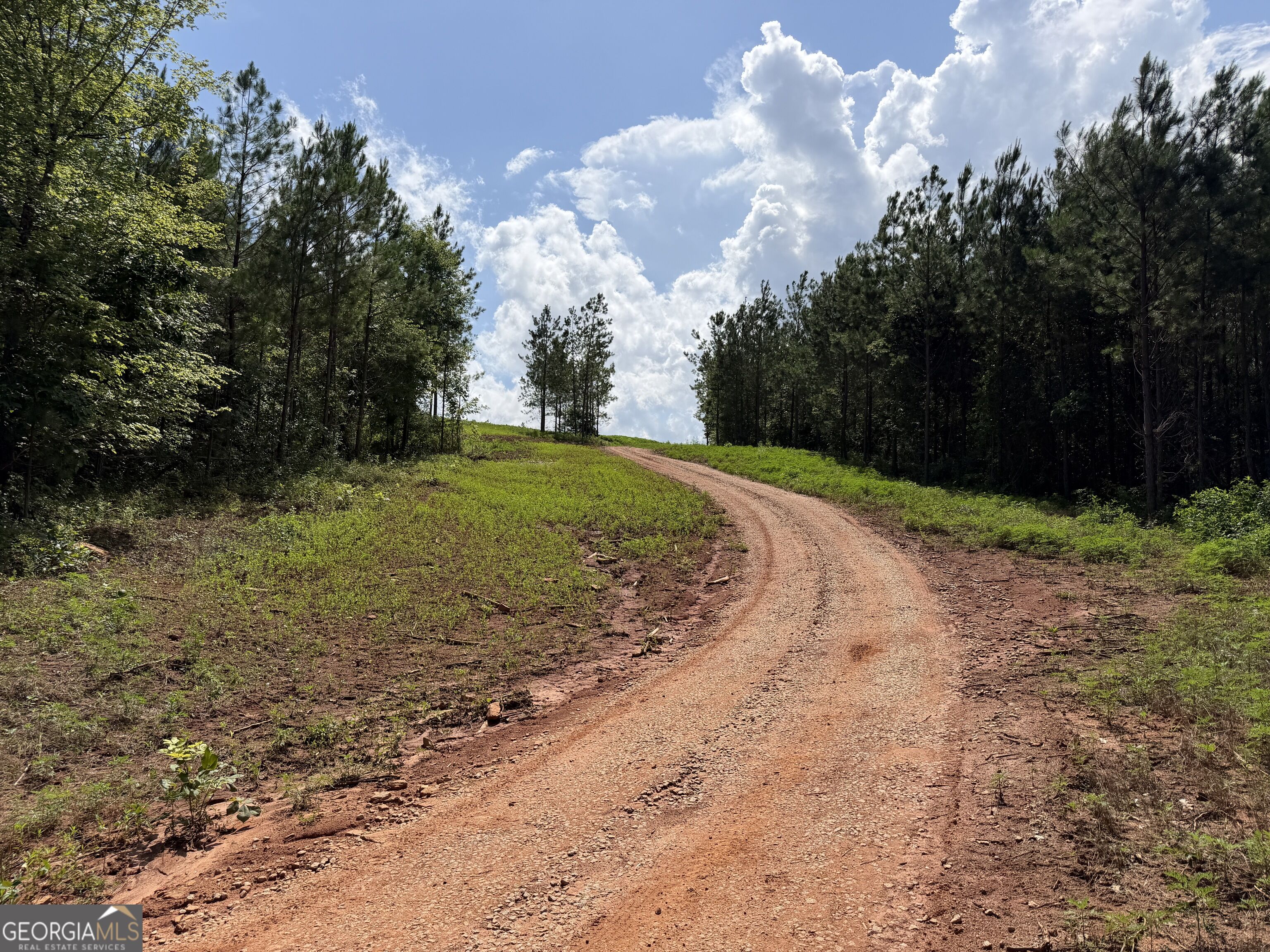 +/- 190 Ac Bevis Road Property Photo 7