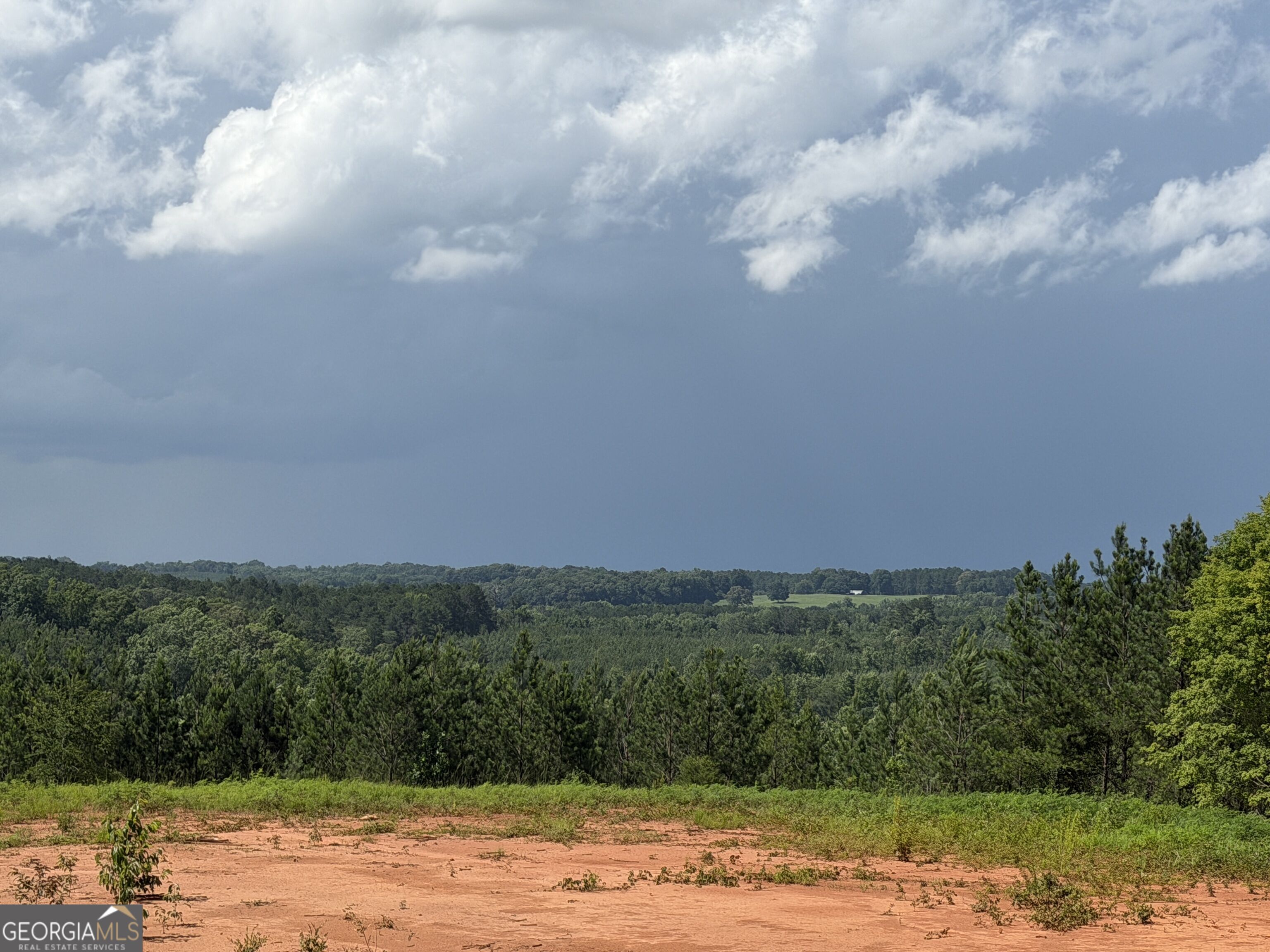 +/- 190 Ac Bevis Road Property Photo 8