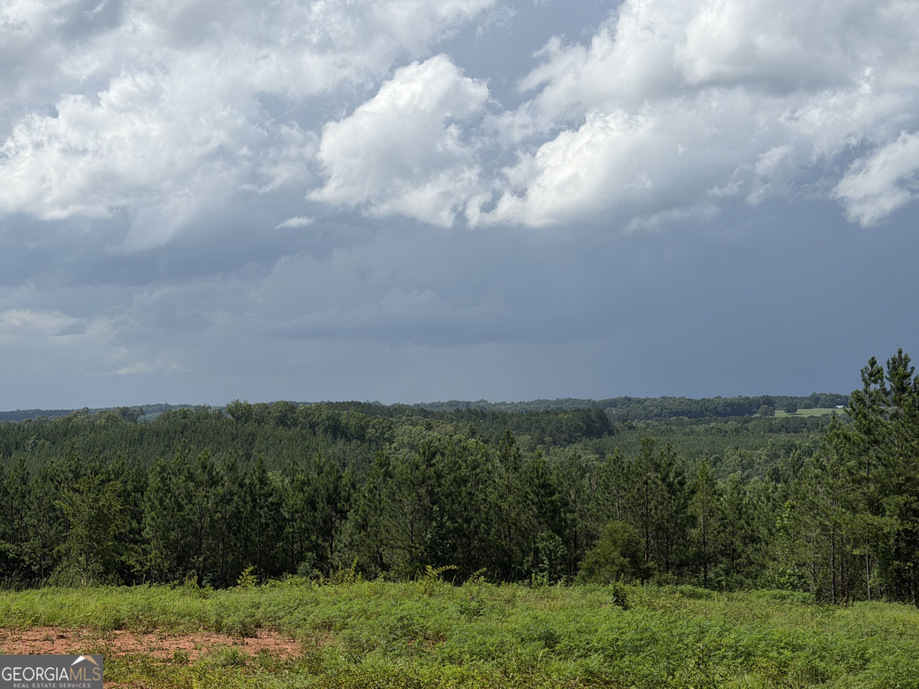 +/- 190 Ac Bevis Road Property Photo 9