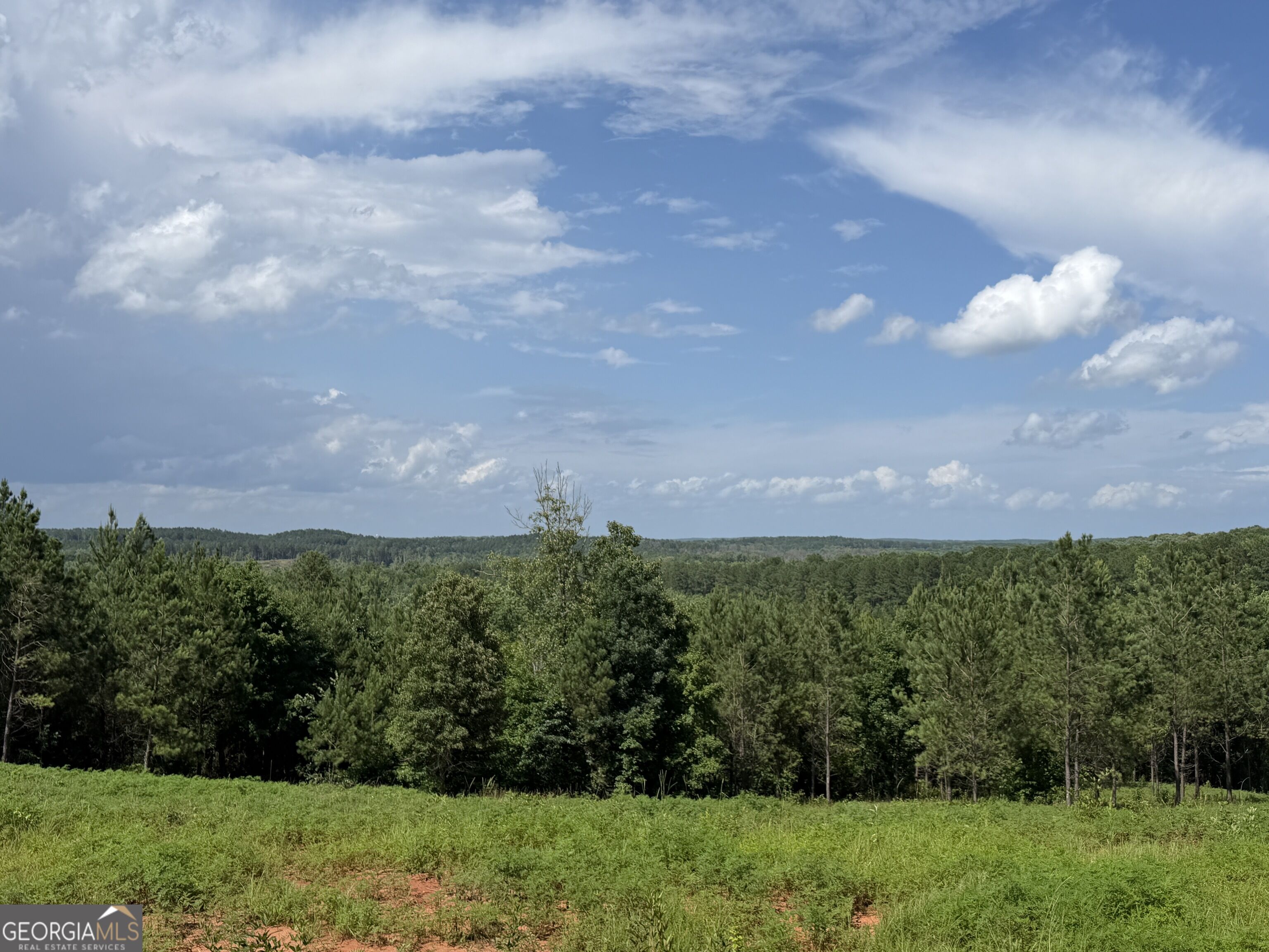 +/- 190 Ac Bevis Road Property Photo 10