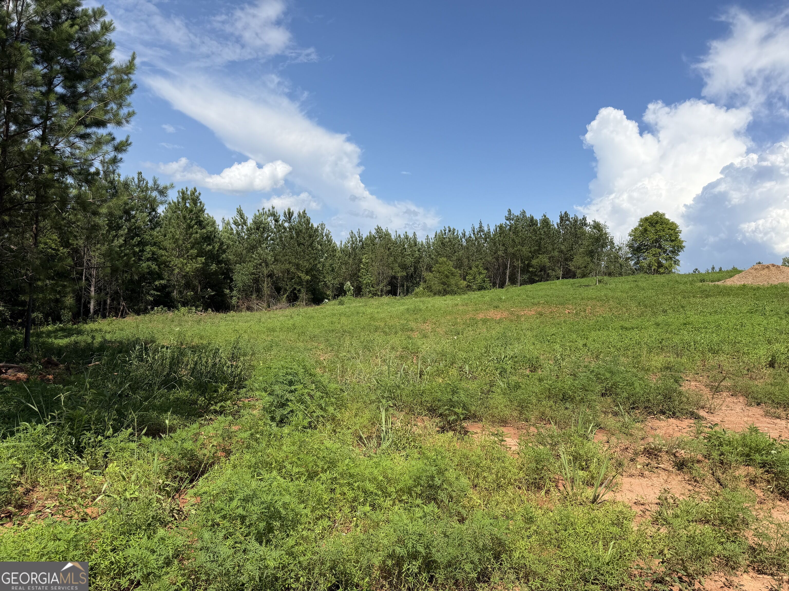 +/- 190 Ac Bevis Road Property Photo 11